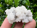 Mangano Calcite with Galena, Borieva Mine, Bulgaria