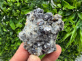 Sphalerite Cleiopfane on Quartz Mineral Specimen, Krushev Dol Mine, Bulgaria Home Decor Stone