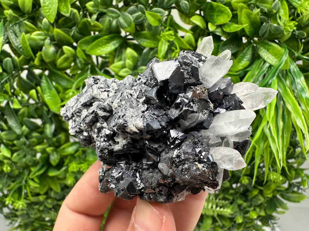 Wonderful Sphalerite Chalcopyrite on  Quartz whit Galena feom 9 th September mine,Bulgaria,natural,collection mineral specimen,gift