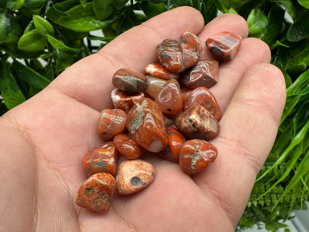 Red Agate Chips: Mini Gemstone Pebbles, Chakra Healing Stones