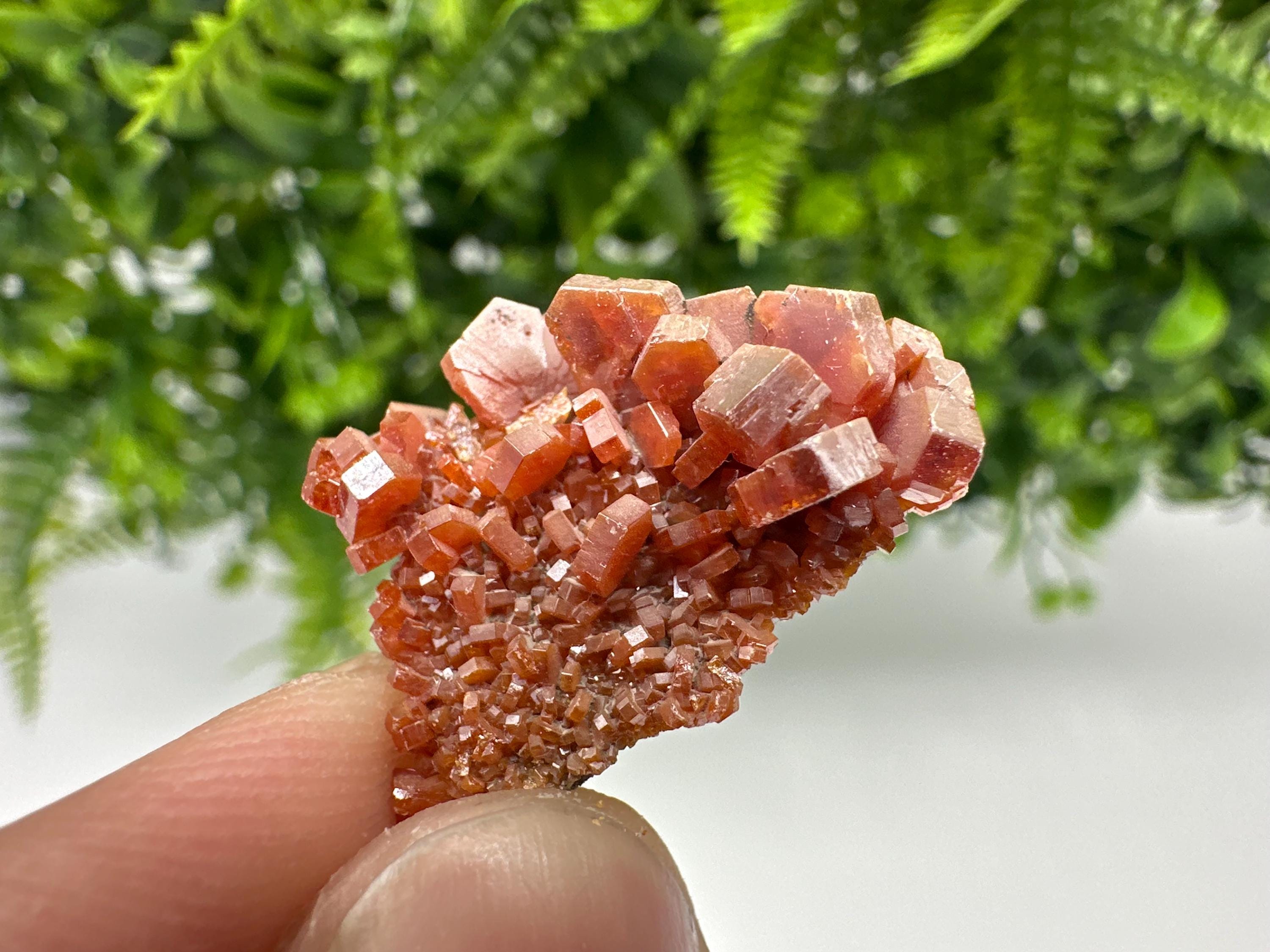 Red Vanadinite on Barite, Morocco Crystal Specimen, Geology Minerals