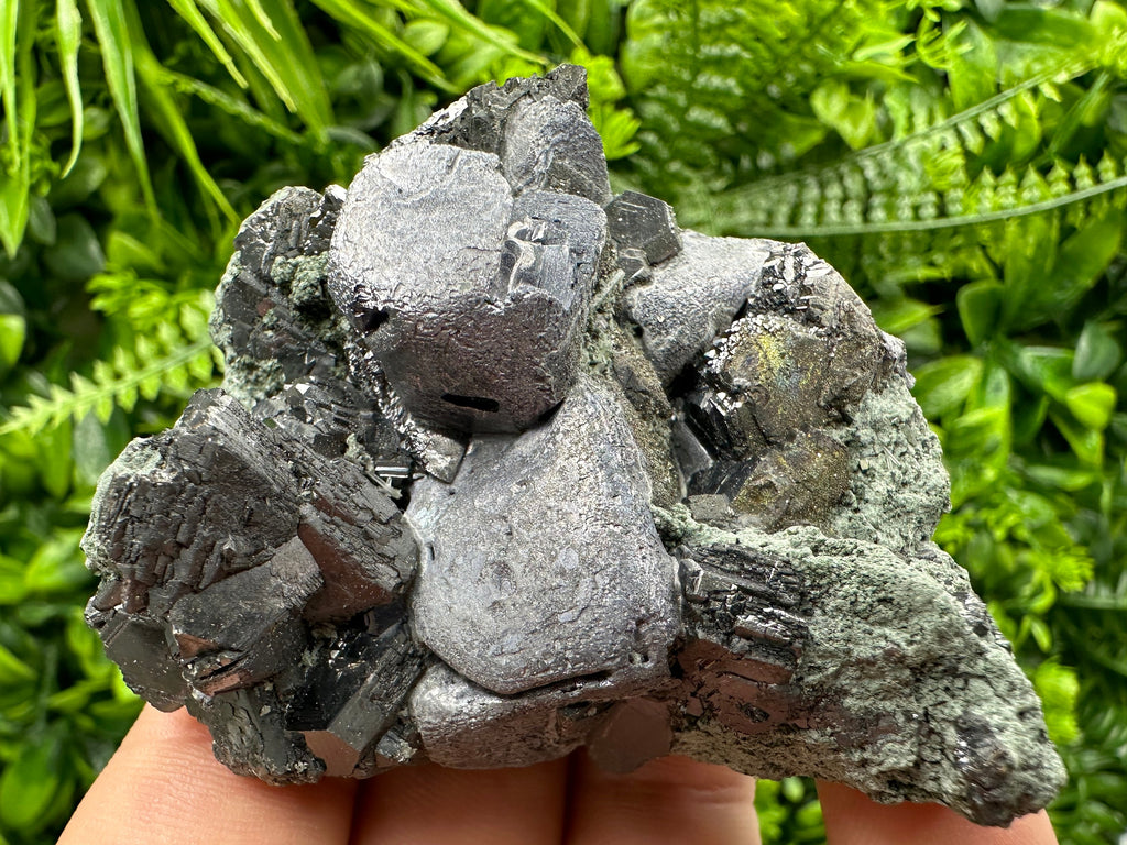 Galena Sphalerite on Chlorite Matrix, Bulgaria Mineral Specimen (6/6/4 cm)
