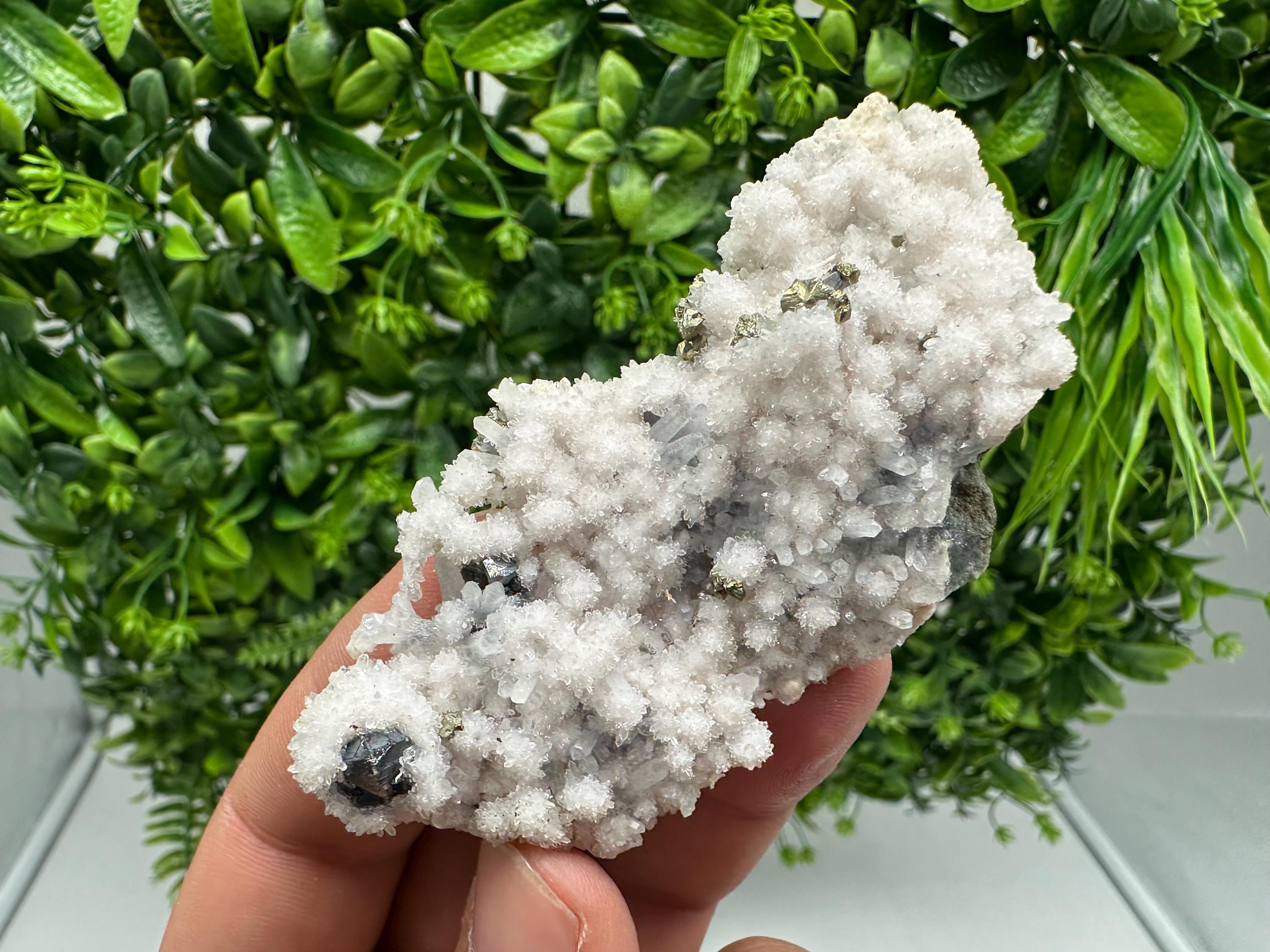 Chalcopyrite on Quartz Specimen: Krushev dol Mine, Bulgaria