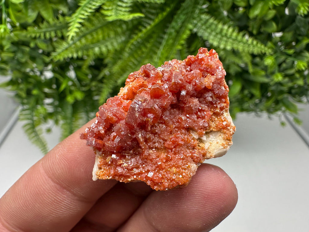 Red Vanadinite on Barite from Marocco,crystal minerals Speciment cluster Vanadinite crystal Vanadinite Geology Vanadinite cluster minerals