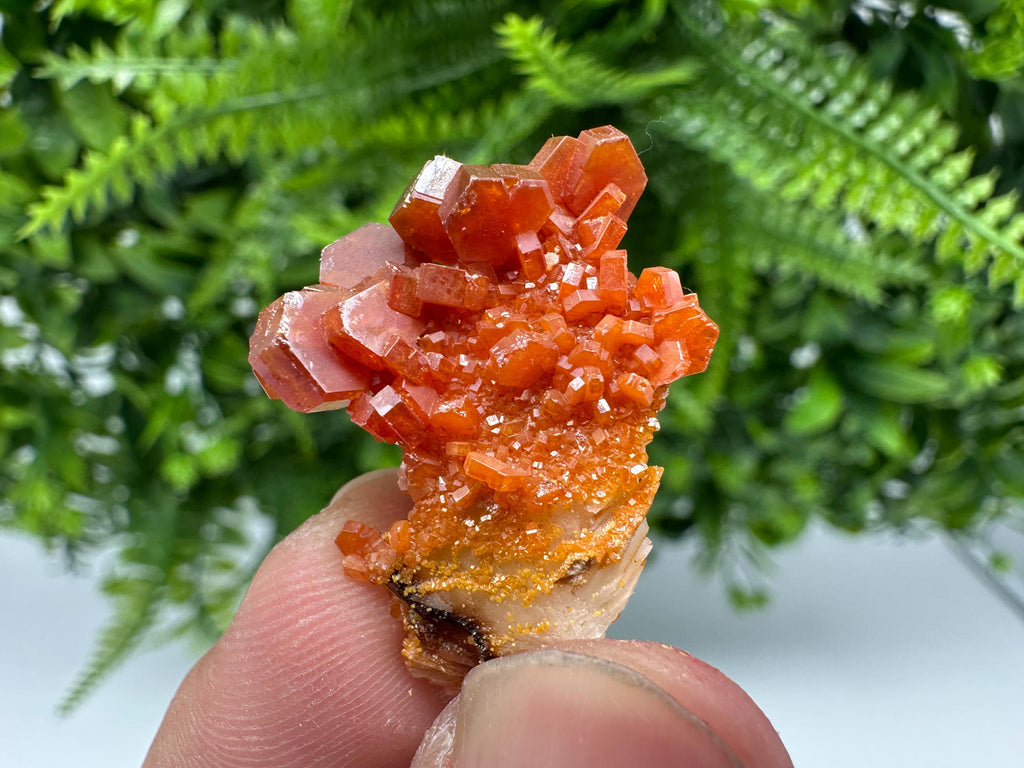 Red Vanadinite on Barite from Marocco,crystal minerals Speciment cluster Vanadinite crystal Vanadinite Geology Vanadinite cluster minerals