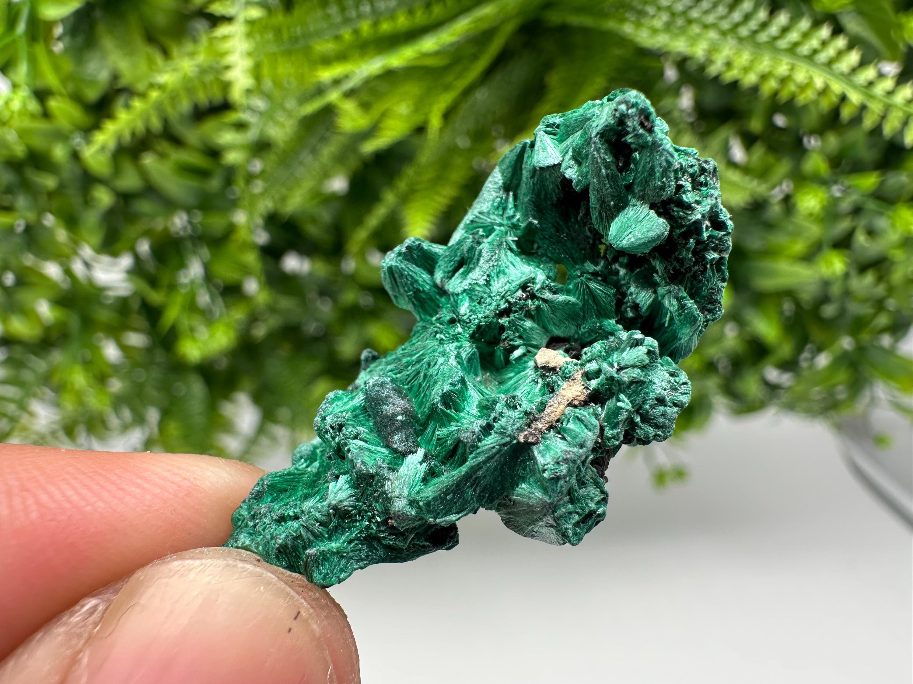 Malachite Crystal from Congo,Minerals,Crystals from Congo,Green Malachite, Malachite,Natural Malachite,Malachite Stone,Chakra, Specimens