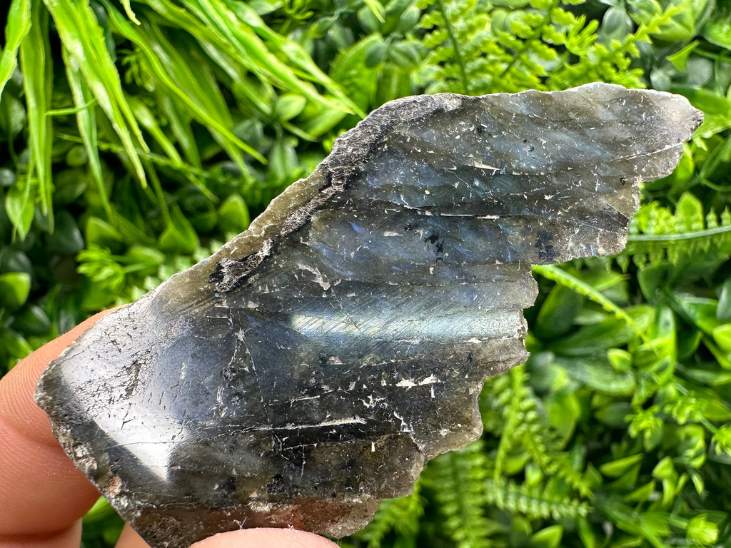 Polished Multifire Labradorite Slab: Raw Crystal Decor