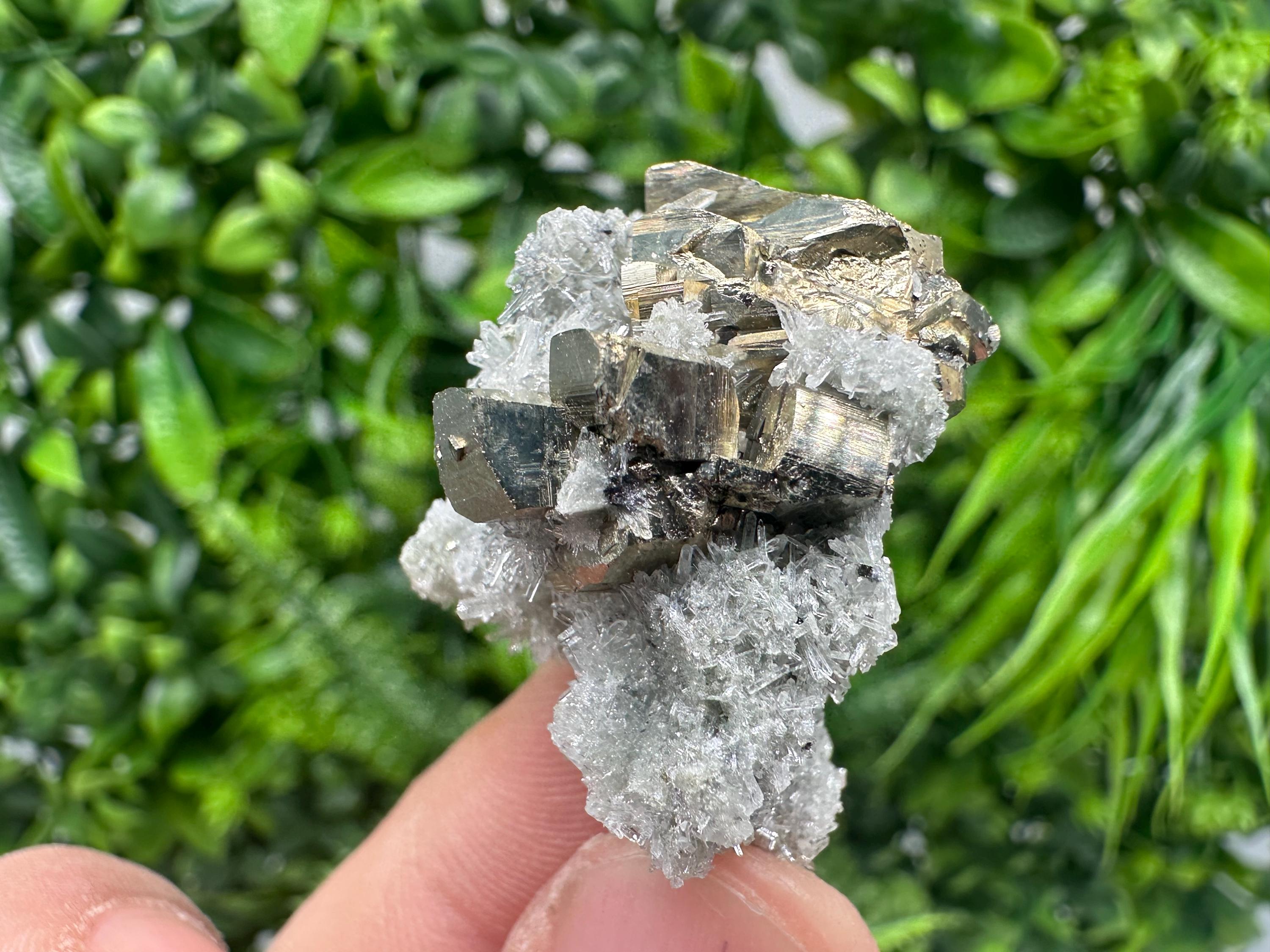Pyrite on Green Quartz Mineral Specimen from Borieva Mine, Bulgaria