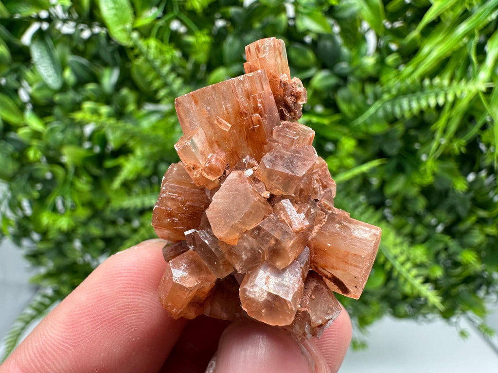 Moroccan Aragonite Sputnik Cluster: Raw Crystal Stone Decor