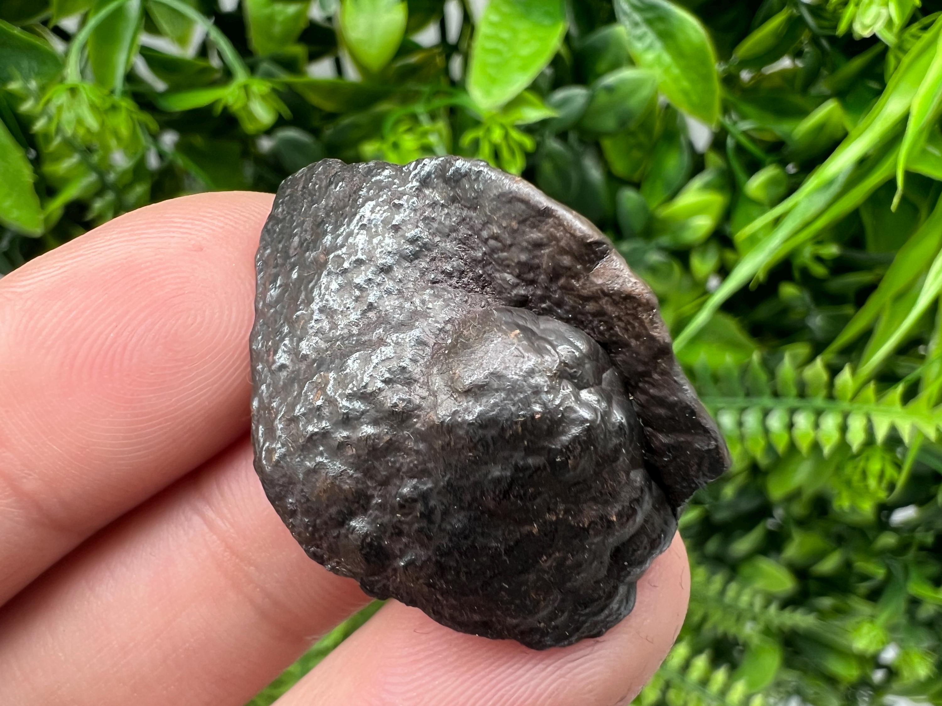 Botryoidal Black Hematite Specimen: Moroccan Crystal, Chakra Reiki