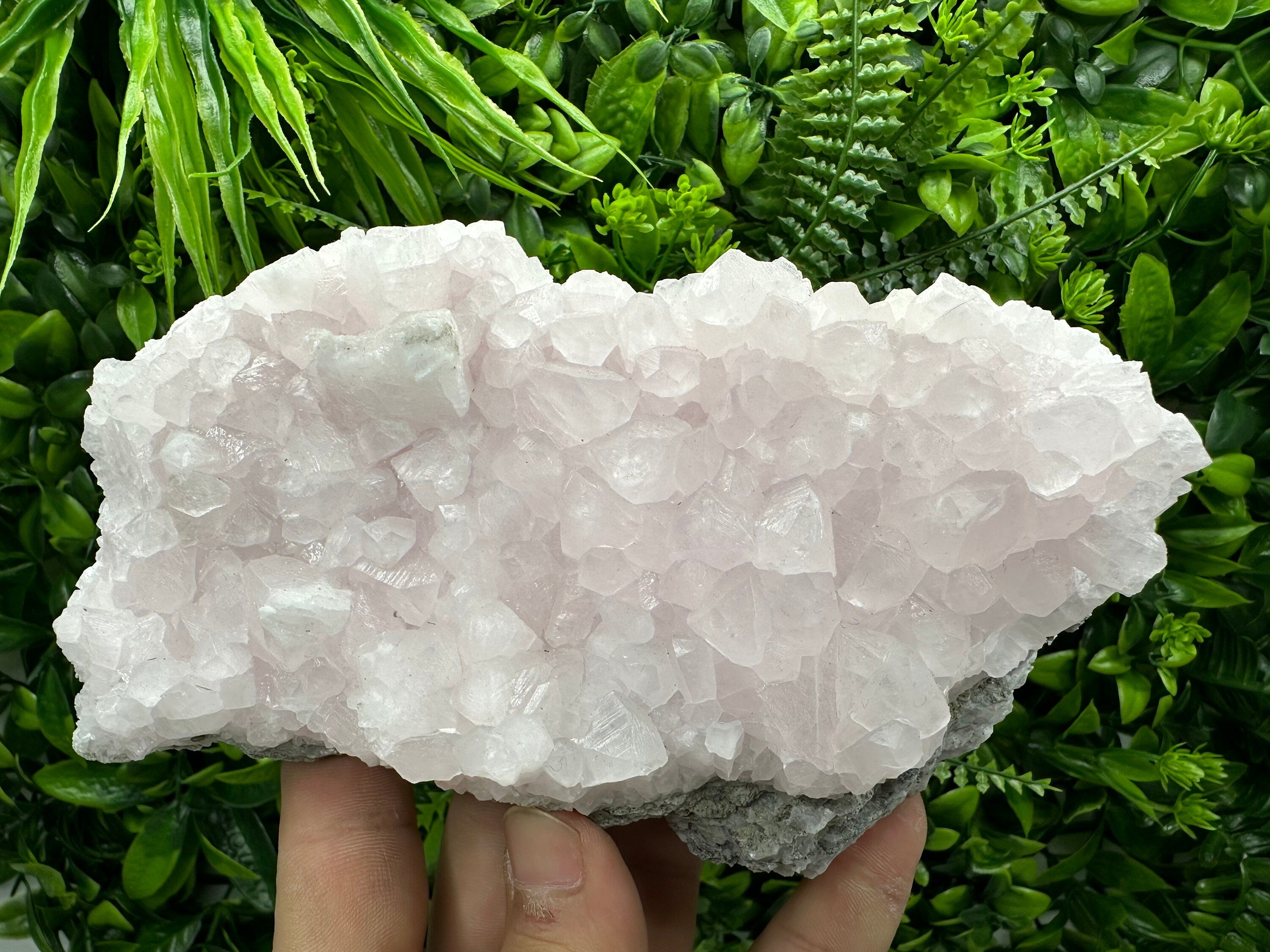 UV Reactive Mangano Calcite Crystal: Androvo Mine, Bulgaria