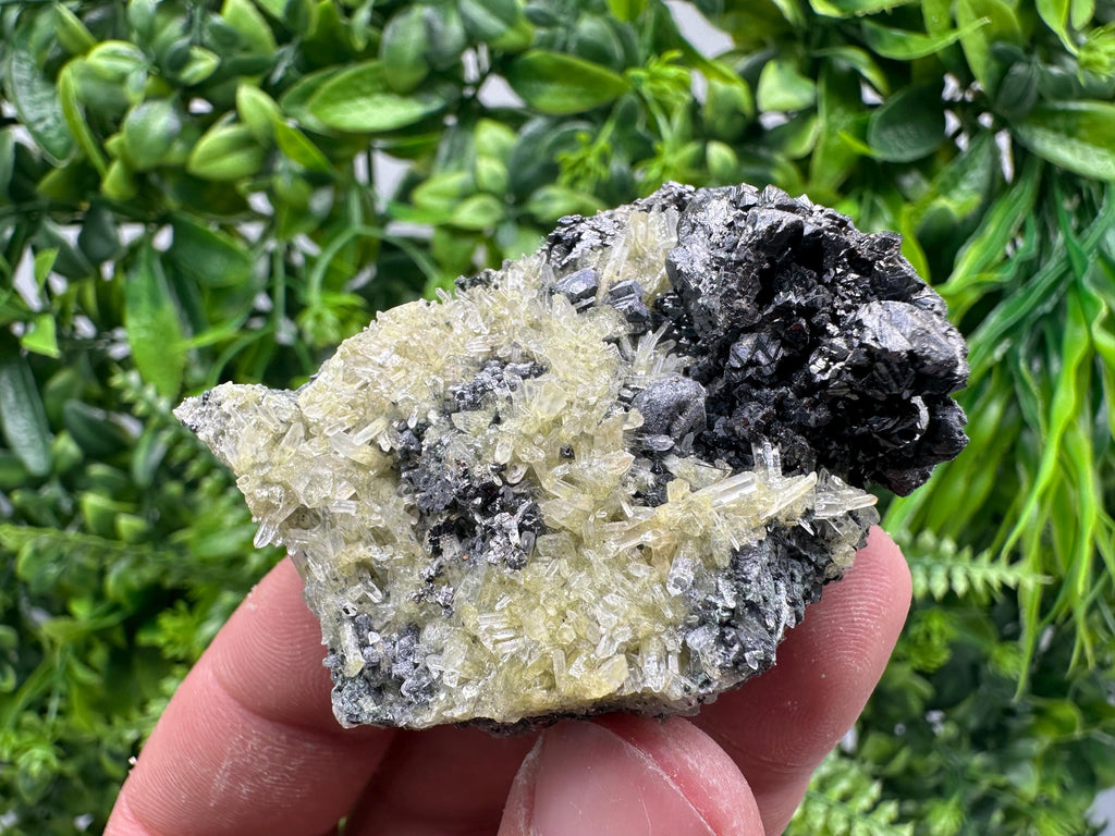 Sphalerite Galena on Quartz with Epidote, Bulgaria Mineral Specimen