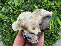 Galena Marcasite on Chalcedony: Androvo Mine Bulgaria Crystal