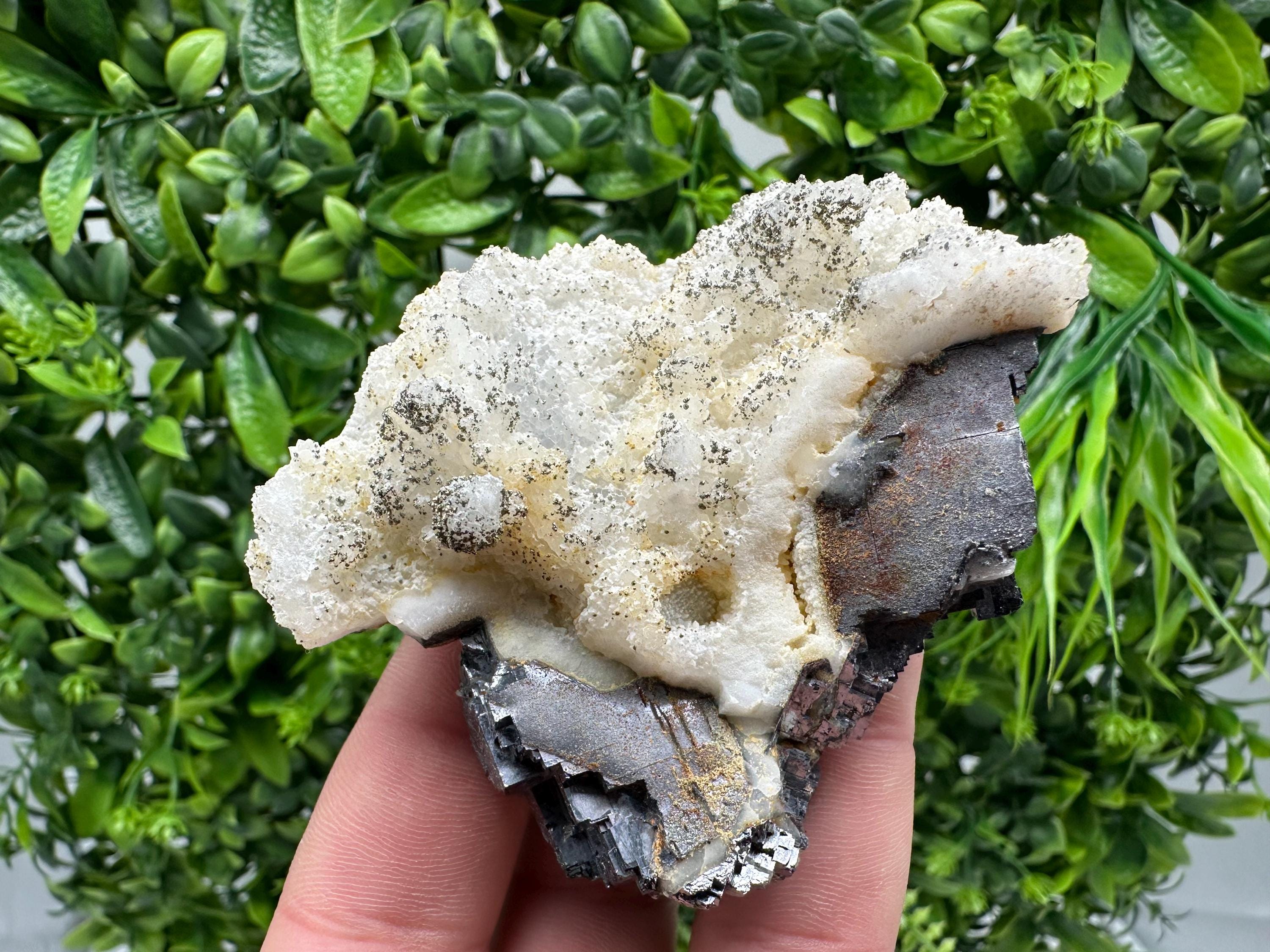 Galena Marcasite on Chalcedony: Androvo Mine Bulgaria Crystal