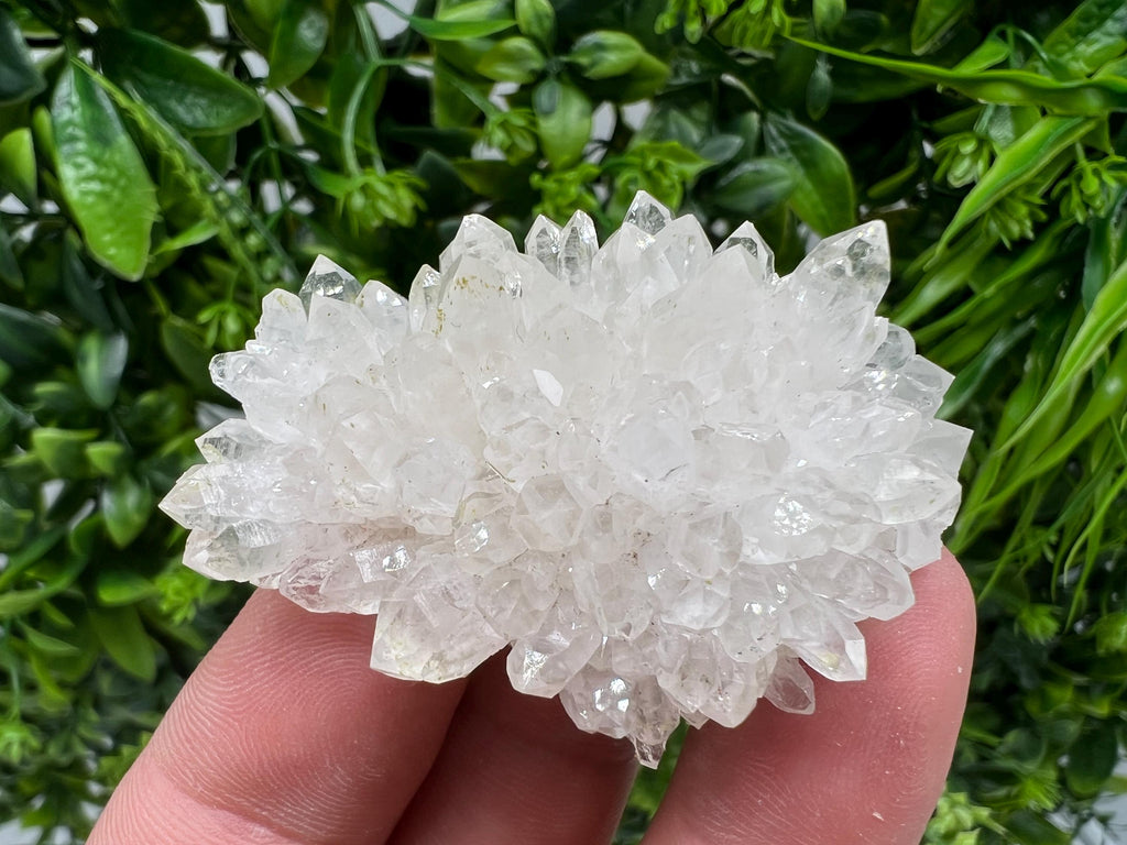 Stunning Transparent Quartz,from Borieva mine,natural collection mineral specimen rare crystal,home decor crystal,quartz cluster,Quartz,gift