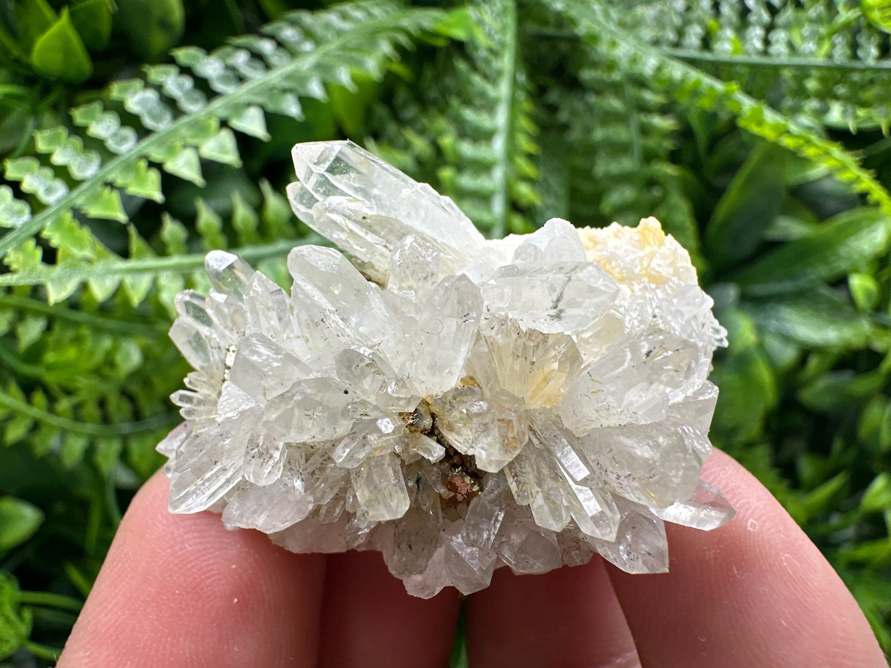 Quartz with Pyrite, Djurcovo Mine Bulgaria, Mineral Souvenir