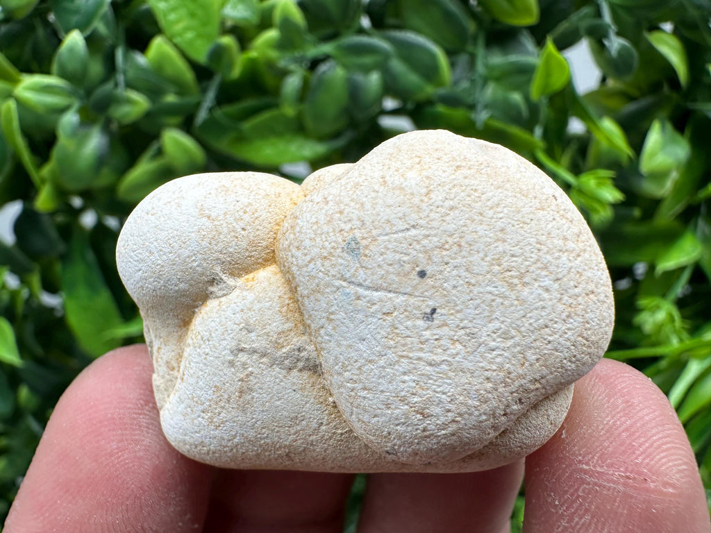 Menalite Crystal: White Fairy Stone, Moroccan A+ Grade