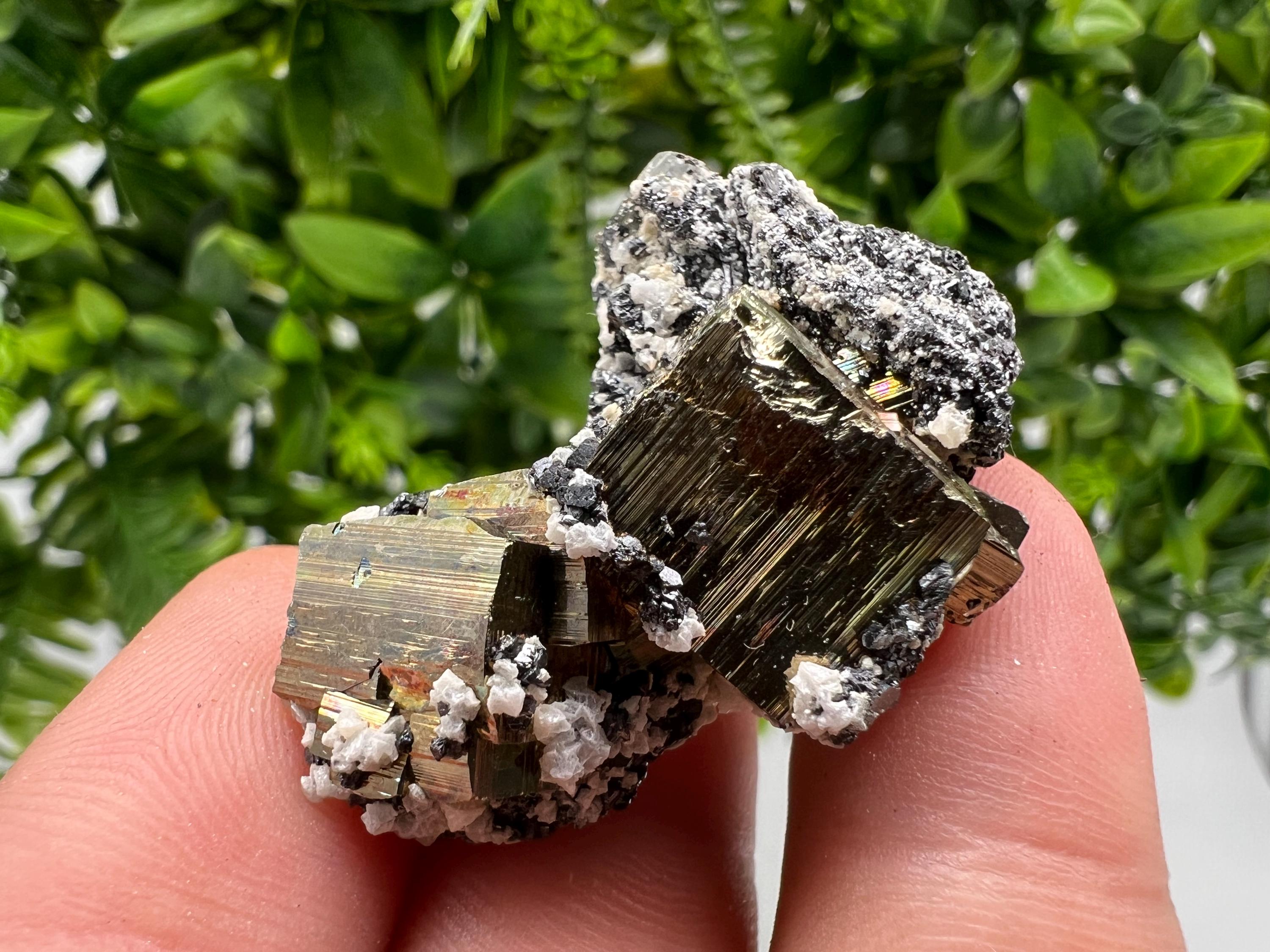 Mini Rainbow Pyrite Cluster: Borieva Mine, Bulgaria
