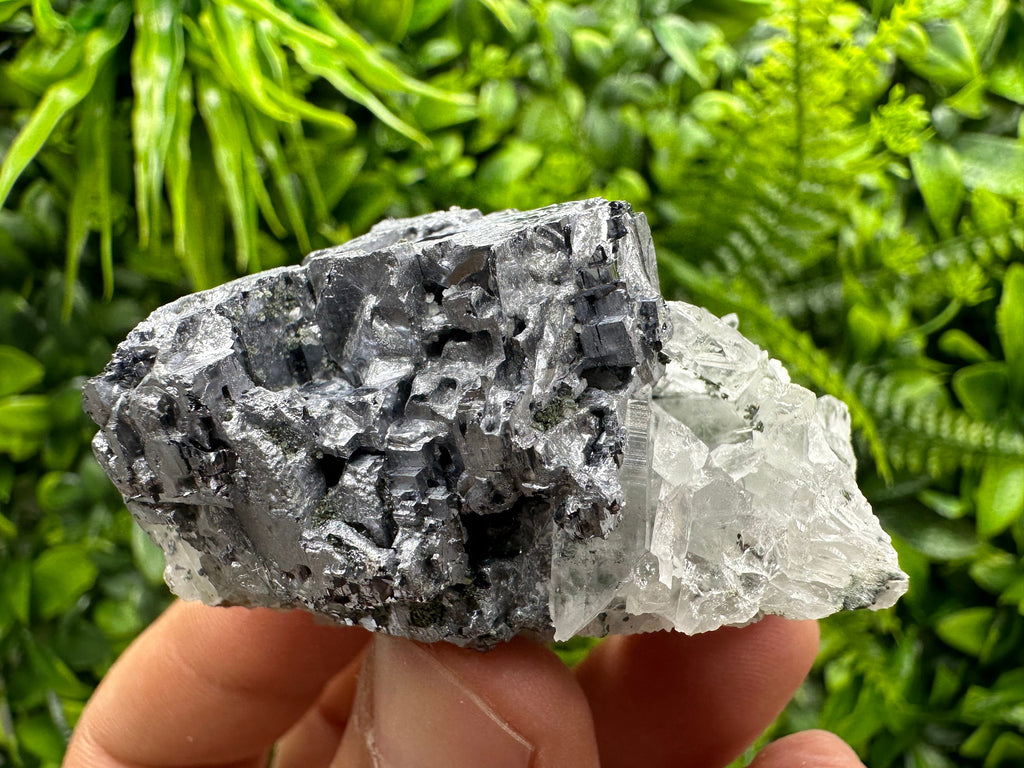 Quartz and Galena Mineral Specimen: Borieva Mine, Bulgaria