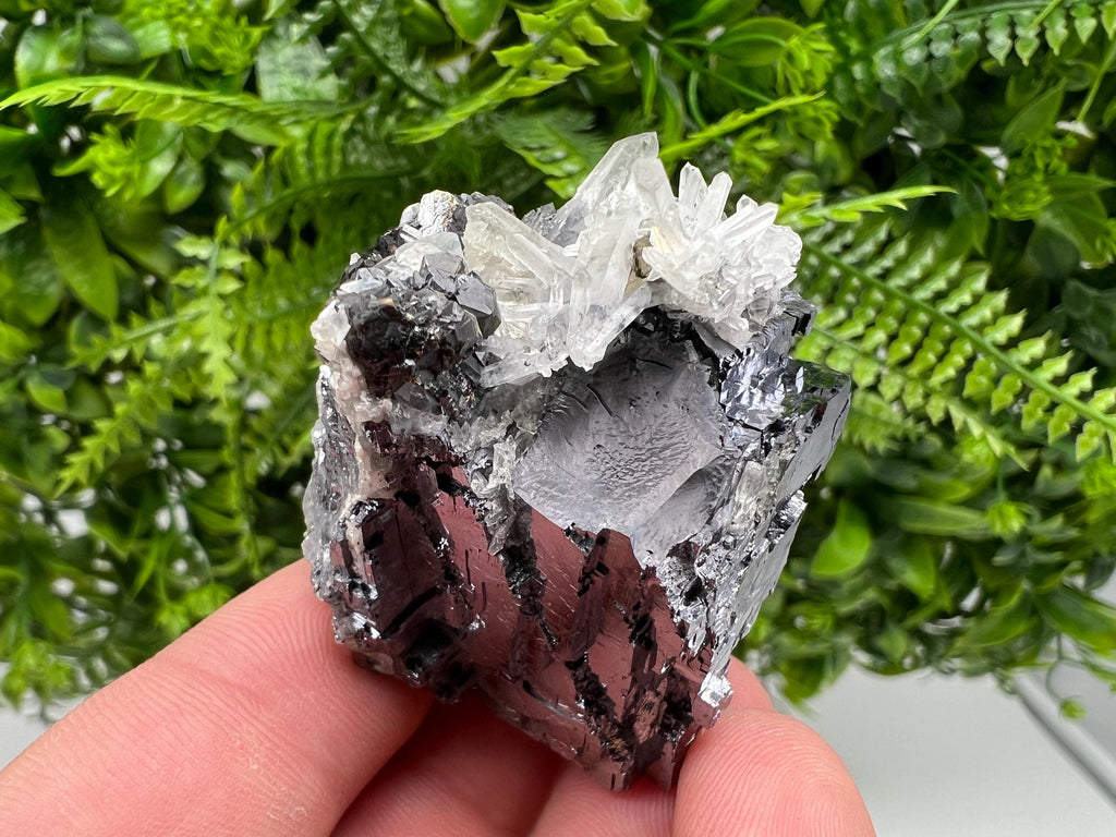 Pyrite Galena Sphalerite Quartz Specimen, Borieva Mine Bulgaria