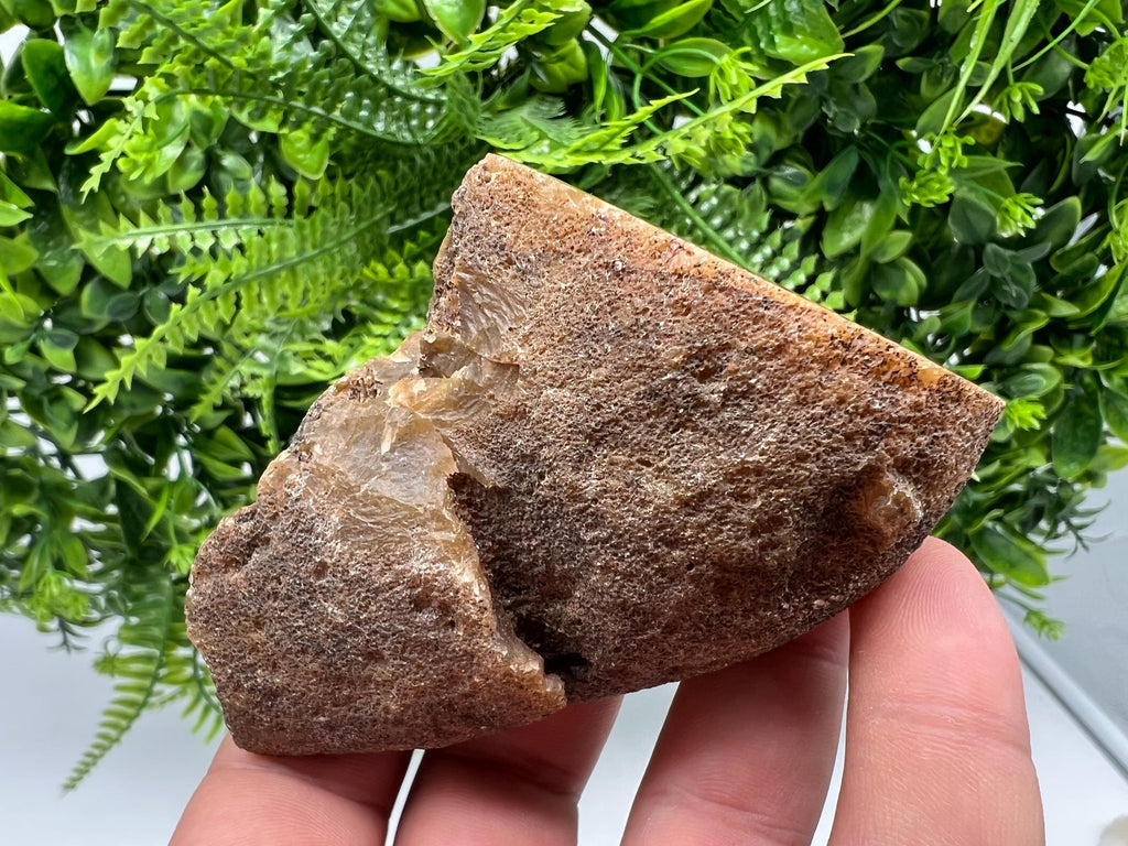 Natural Agate Druzy Geode, Crystal Quartz