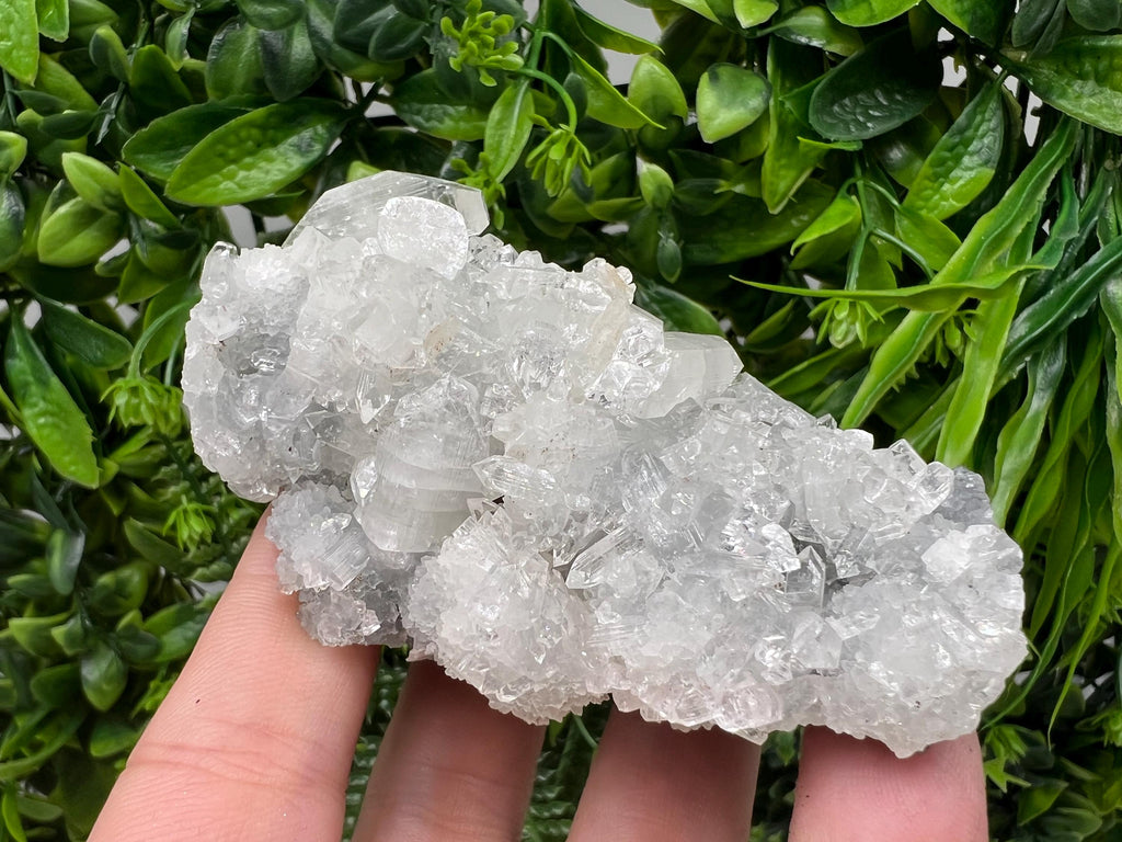 Apophyllite on Chalcedony Specimen: Transparent Crystal, India Minerals
