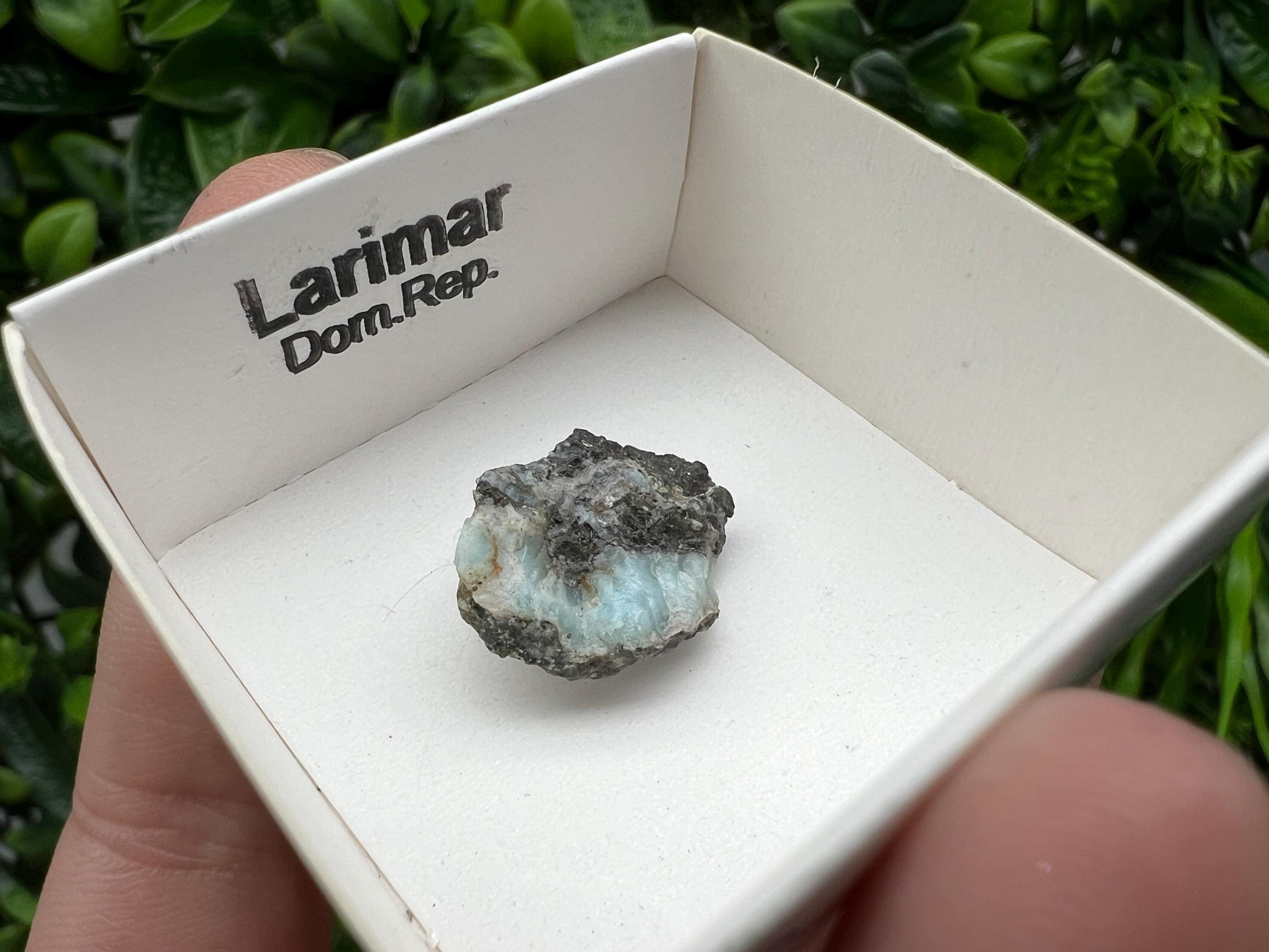 Rare Raw Larimar Specimen: Dominican Republic Mineral Collection (20/15mm)