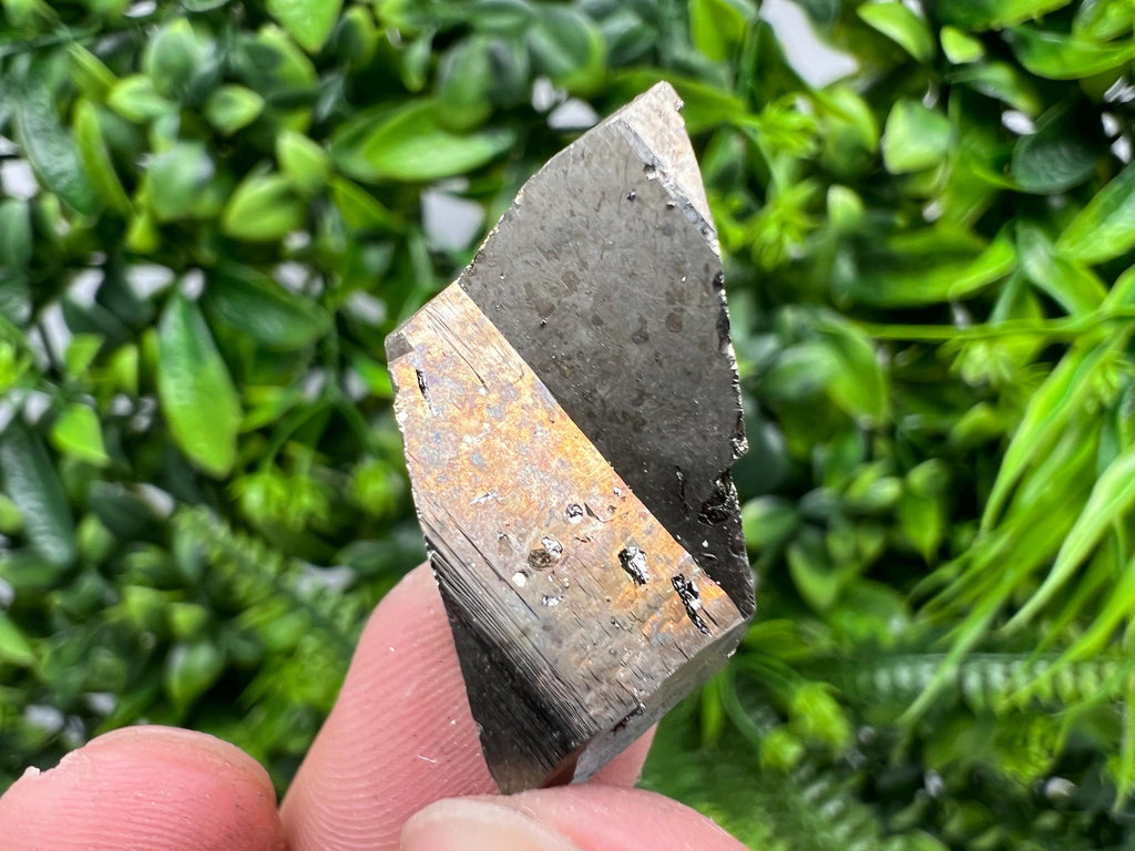 Mini Pyrite Cluster: Rare Crystallization from Borieva Mine