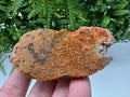 Red Vanadinite on Matrix from Marocco,crystal minerals Speciment cluster Vanadinite crystal Vanadinite Geology Vanadinite cluster minerals