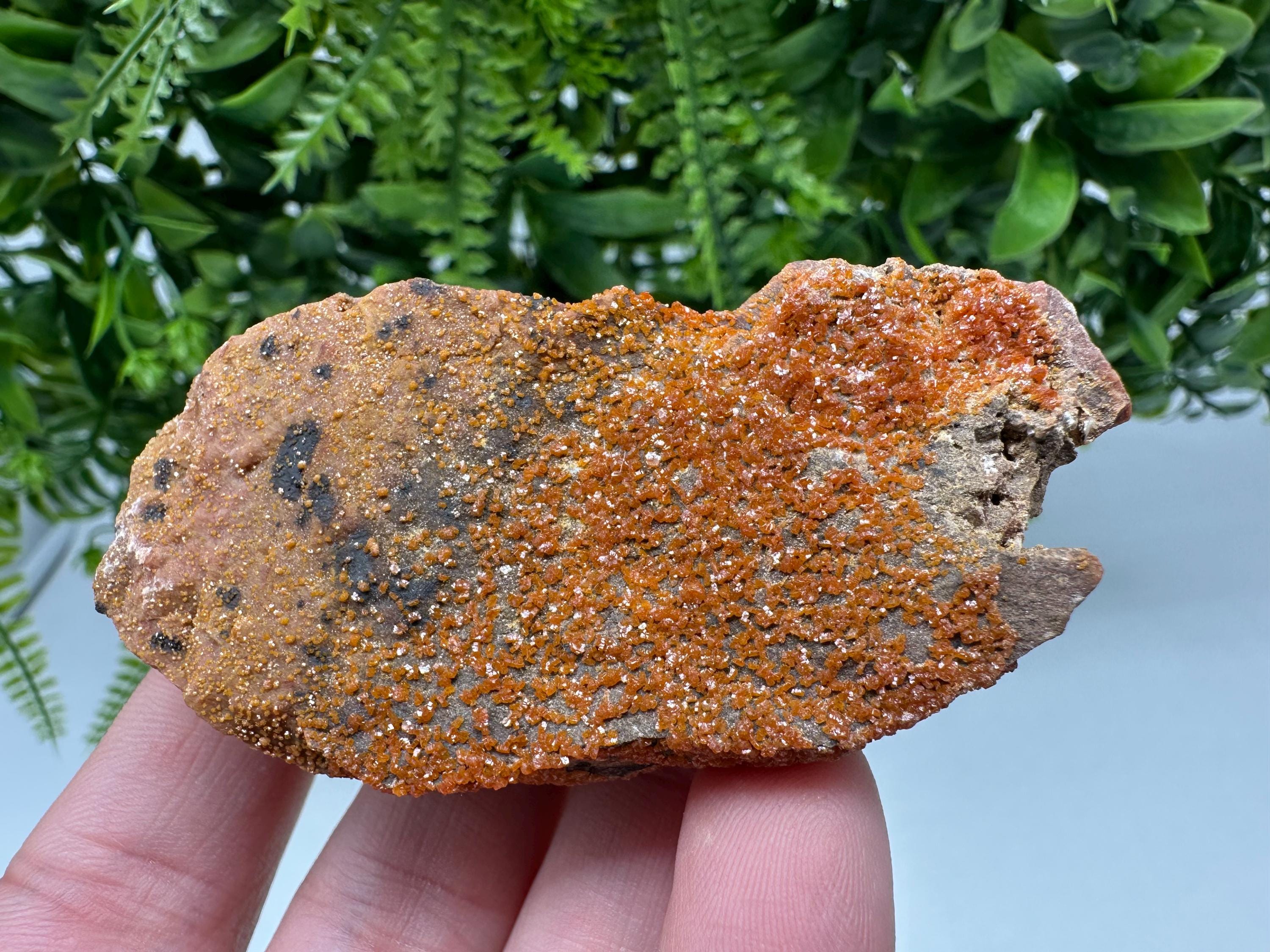 Red Vanadinite on Matrix from Marocco,crystal minerals Speciment cluster Vanadinite crystal Vanadinite Geology Vanadinite cluster minerals