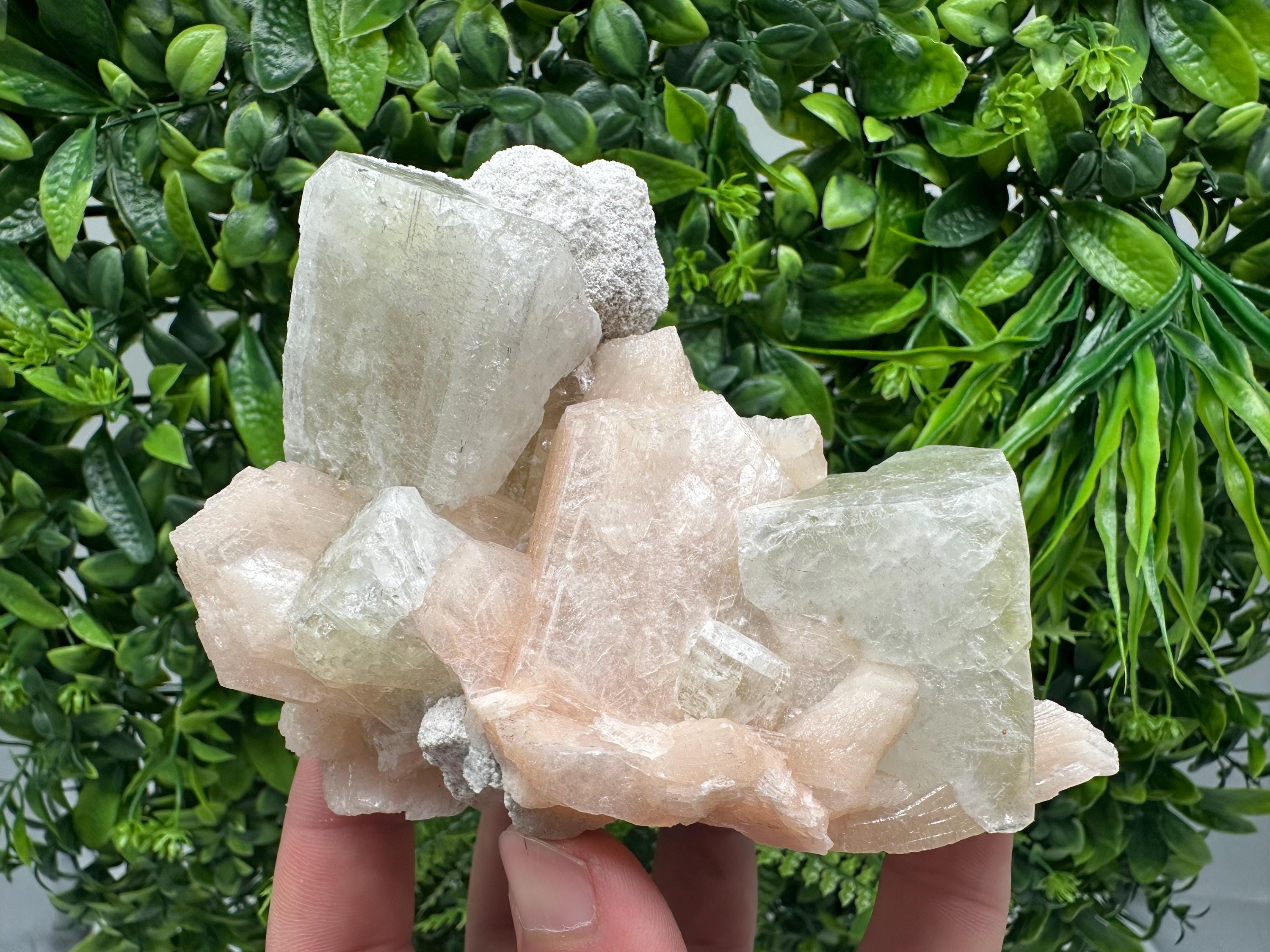 Apophyllite Stilbite on Chalcedony, India Crystal Mineral Specimen