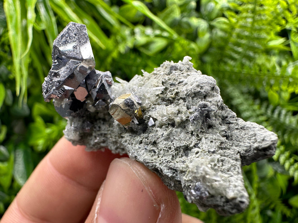 Spinel Law Galena on Quartz with Chalcopyrite: Borieva Mine Minerals