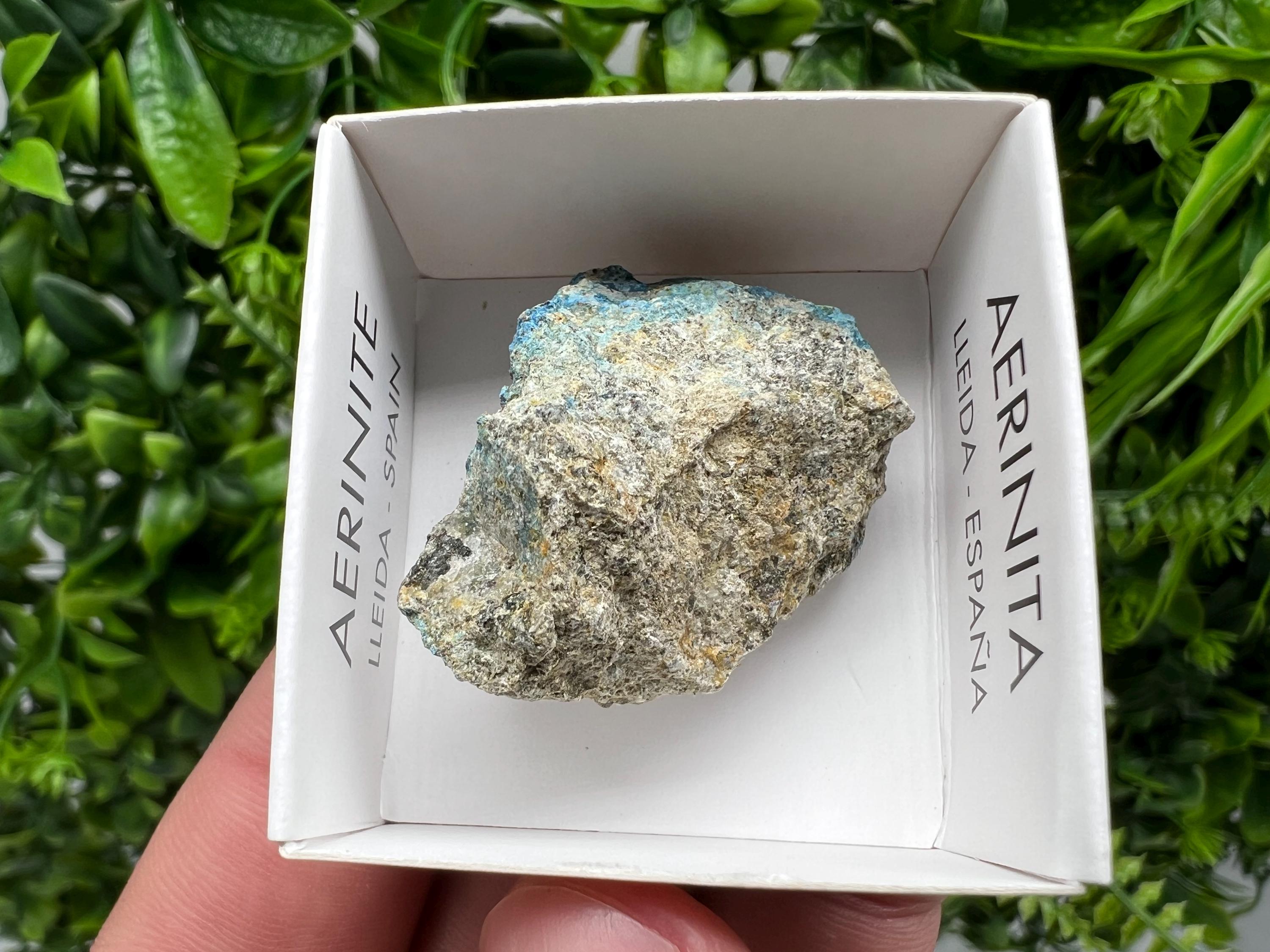 Rare Raw Aerinite Mineral Specimen: Lleida, Spain (3.5/3.5 CM)