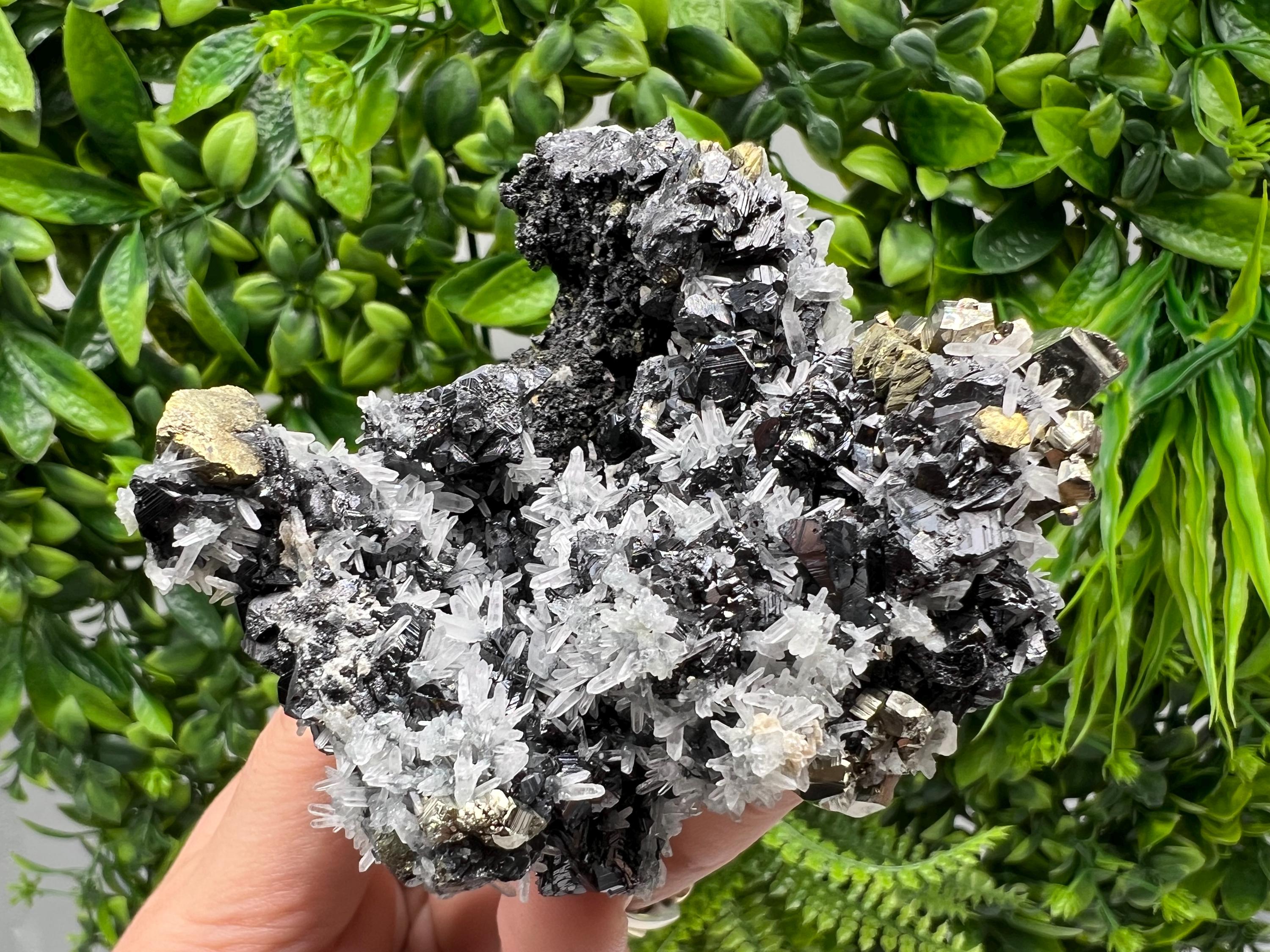 Chalcopyrite with Sphalerite on Quartz, Borieva Bulgaria