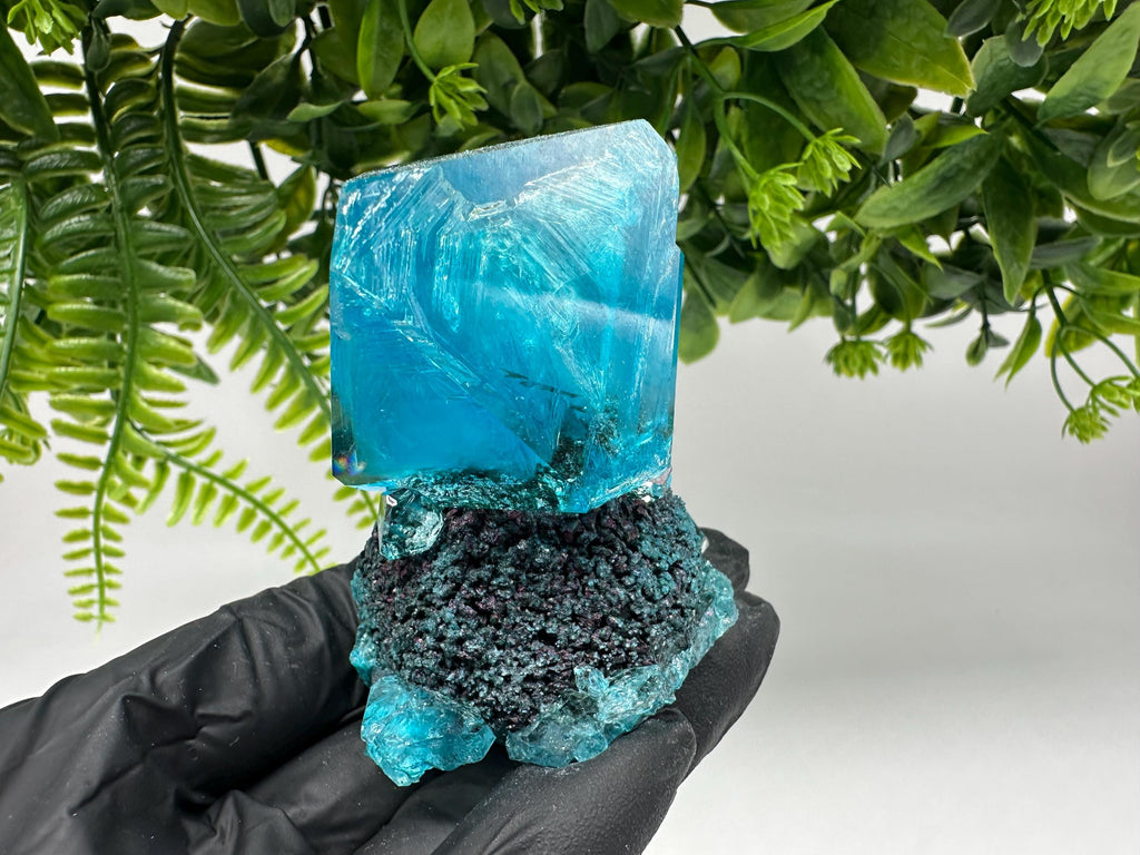 Exceptional Turquoise ALUNITE Aqua Crystal on Matrix UV Active, lab minerals