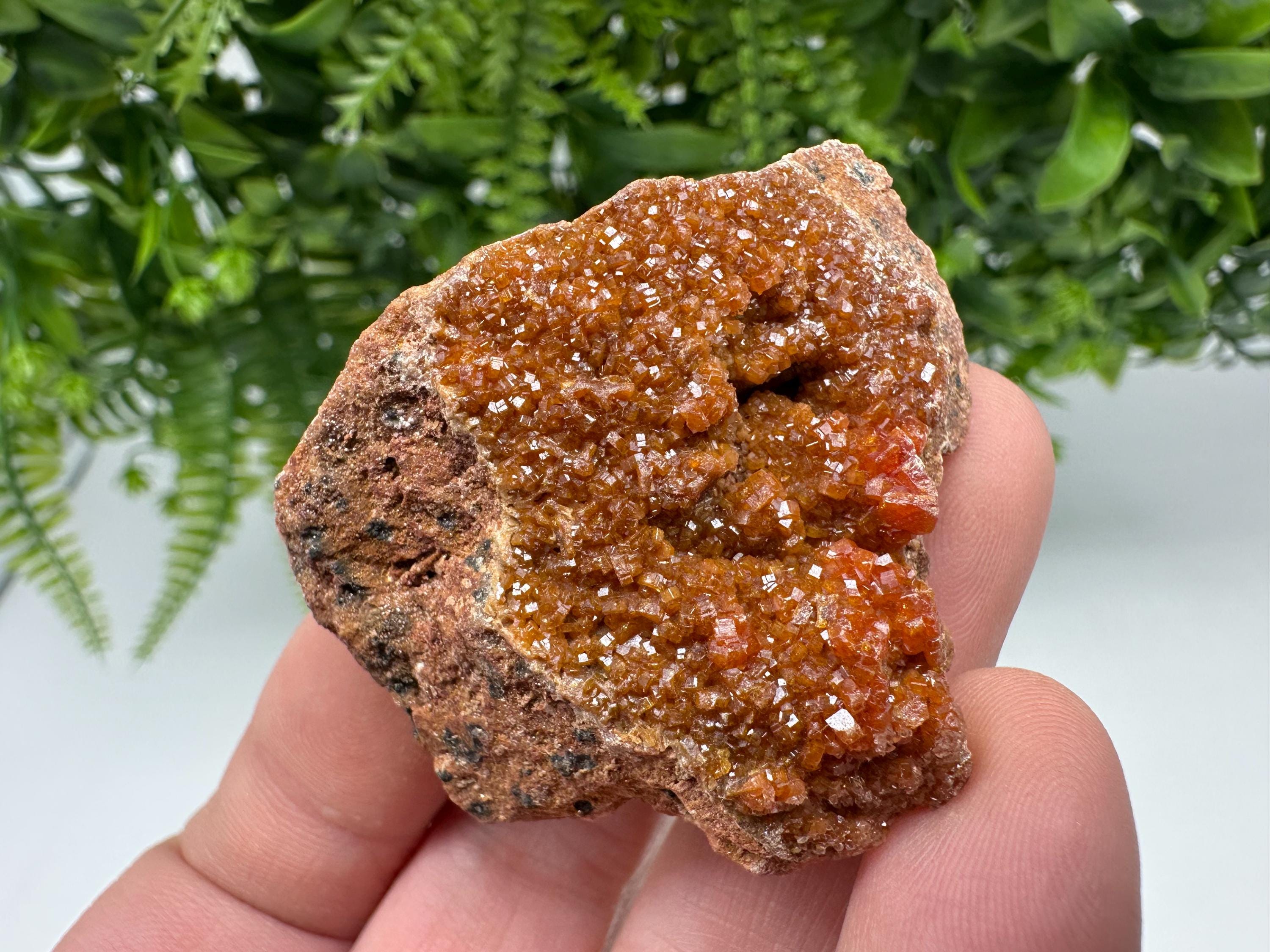 Red Vanadinite on Matrix from Marocco,crystal minerals Speciment cluster Vanadinite crystal Vanadinite Geology Vanadinite cluster minerals