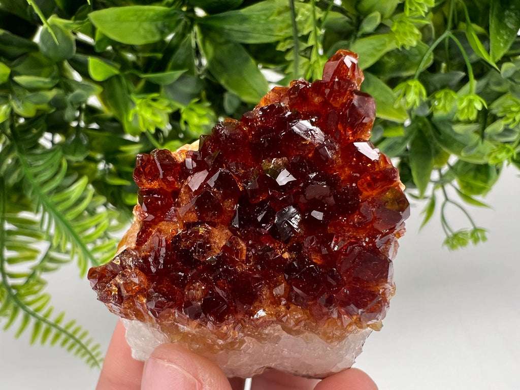 Brazilian Citrine Crystal Cluster with Hematite