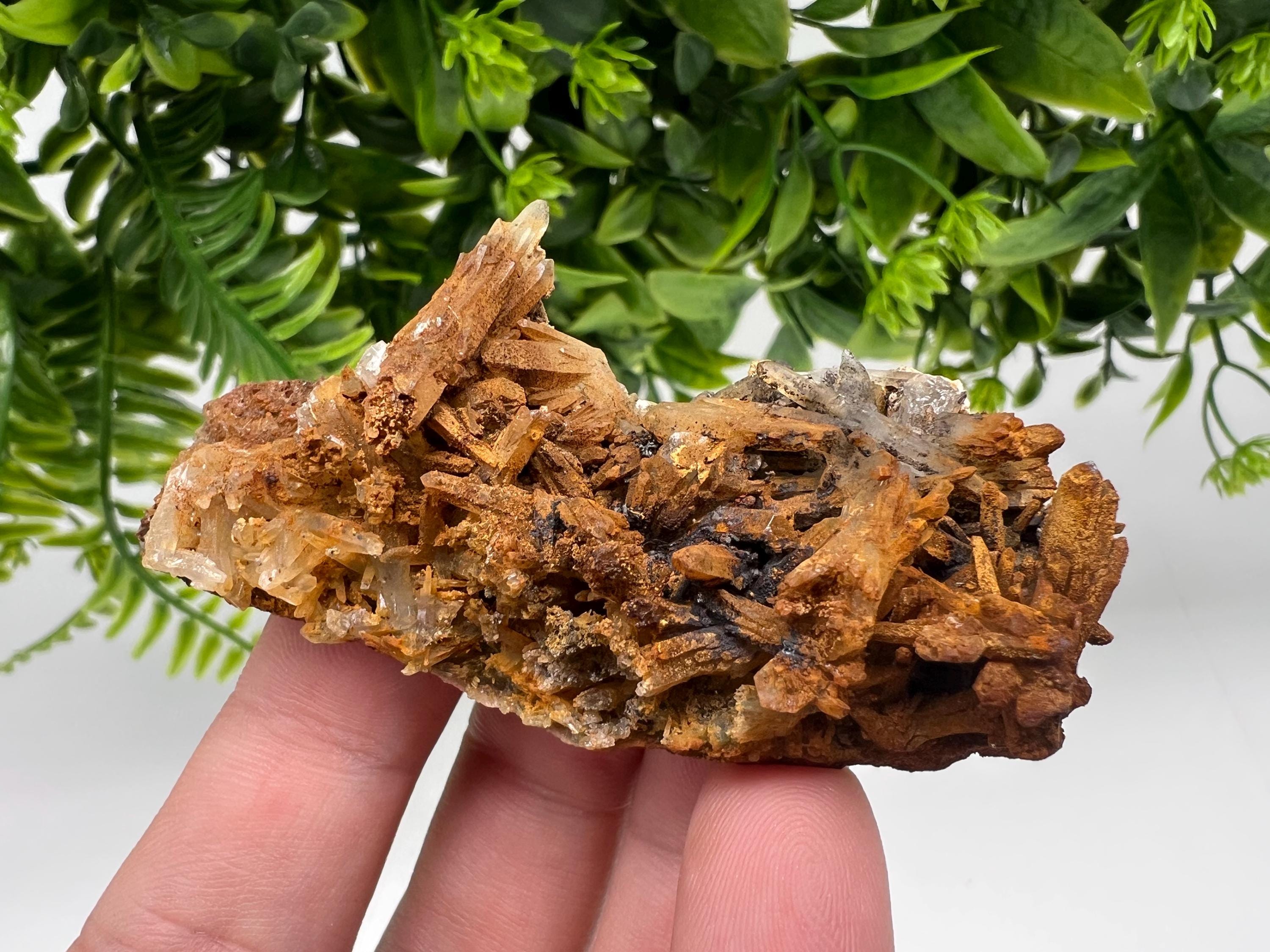 Bulgarian Quartz Specimen: Iron Oxide Limonite Mineral Collection