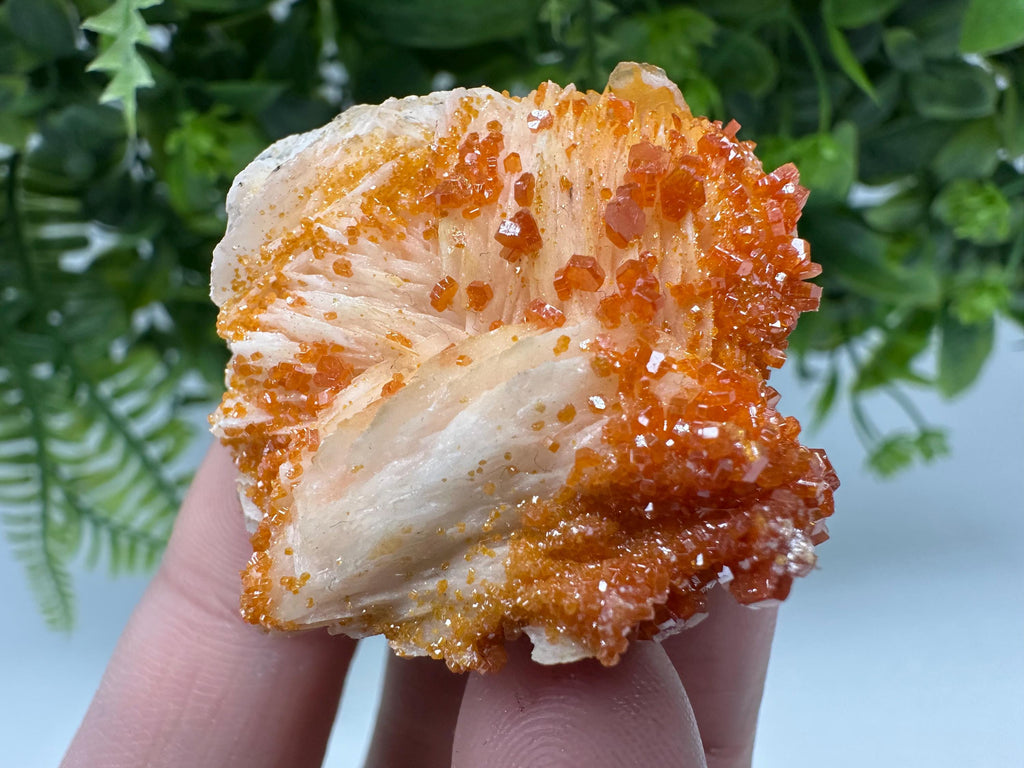 Red Vanadinite on Barite Cluster, Moroccan Mineral Specimen (4/4/2 cm)