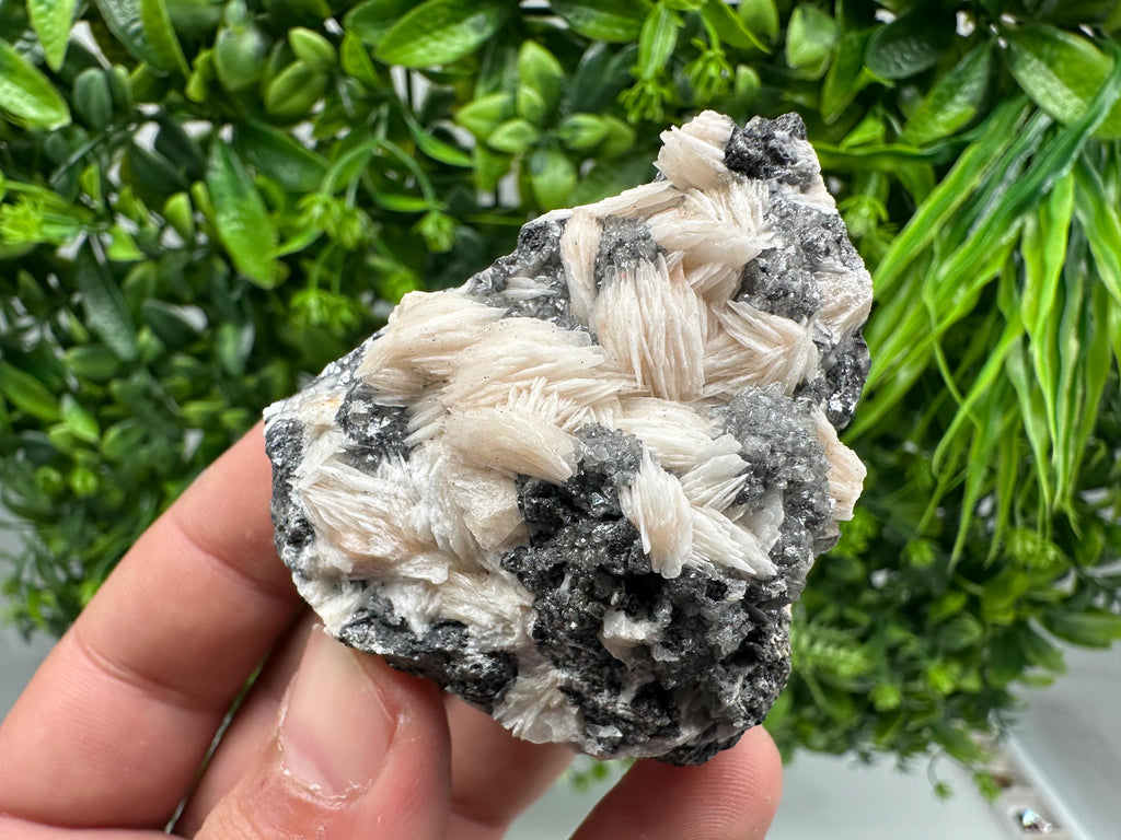 Wonderful Baryte with Cerussite on Galena from Morocco,Crystal, Mineral,Specimen,Cluster,Crystals,Barite Crystal,Cerussite Crystal,Specimen