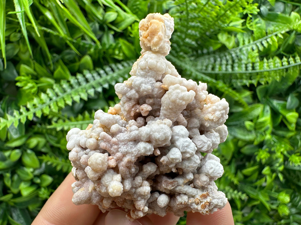 Dimitrovgrad Aragonite Cluster, Bulgaria Mineral Specimen (5/5/5cm)