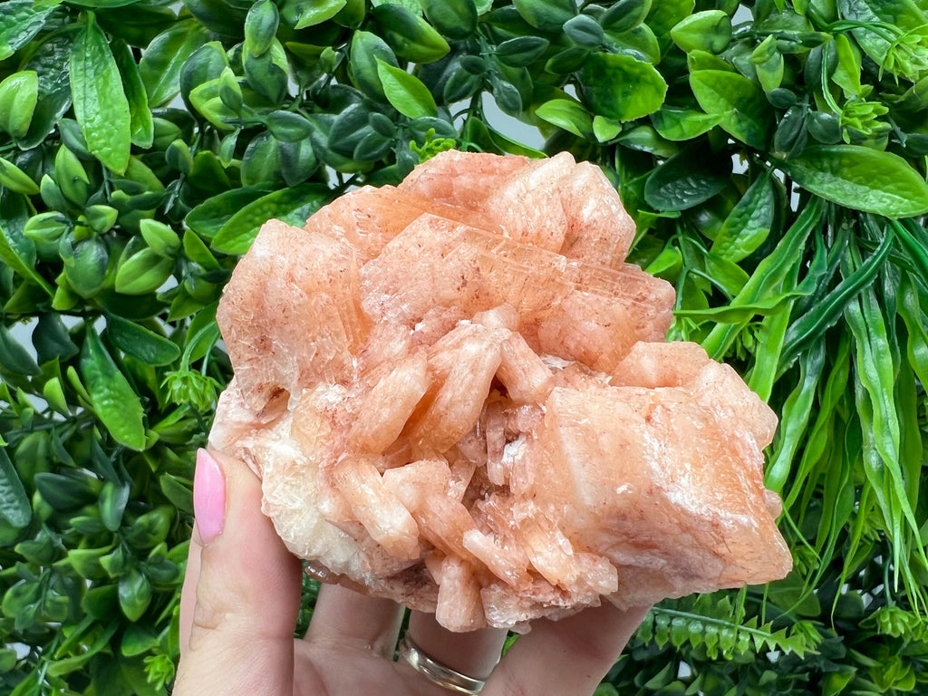Apophyllite Stilbite Chalcedony Specimen: India Minerals Crystal Collection