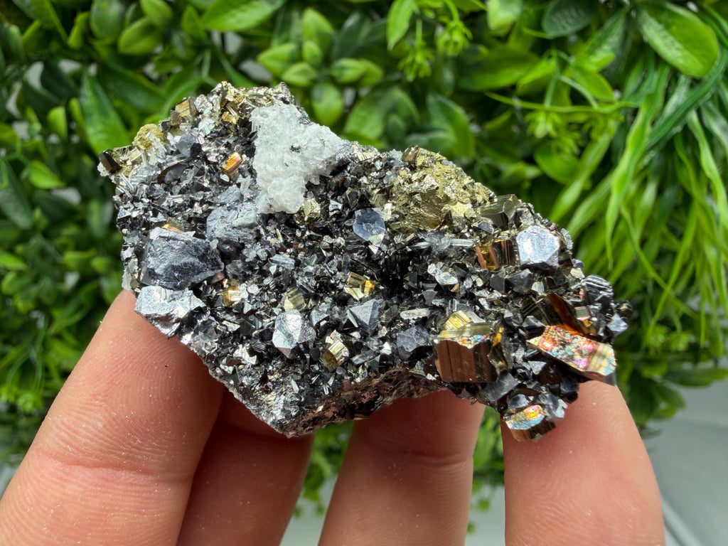 Pyrite Sphalerite Quartz  Mineral Specimen, Krushev dol Mine