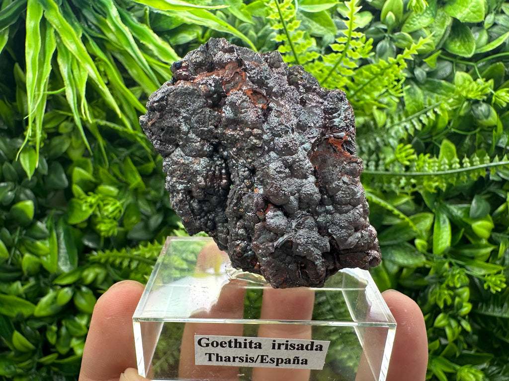 Iridescent Goethite Cluster, Spanish Mineral Specimen