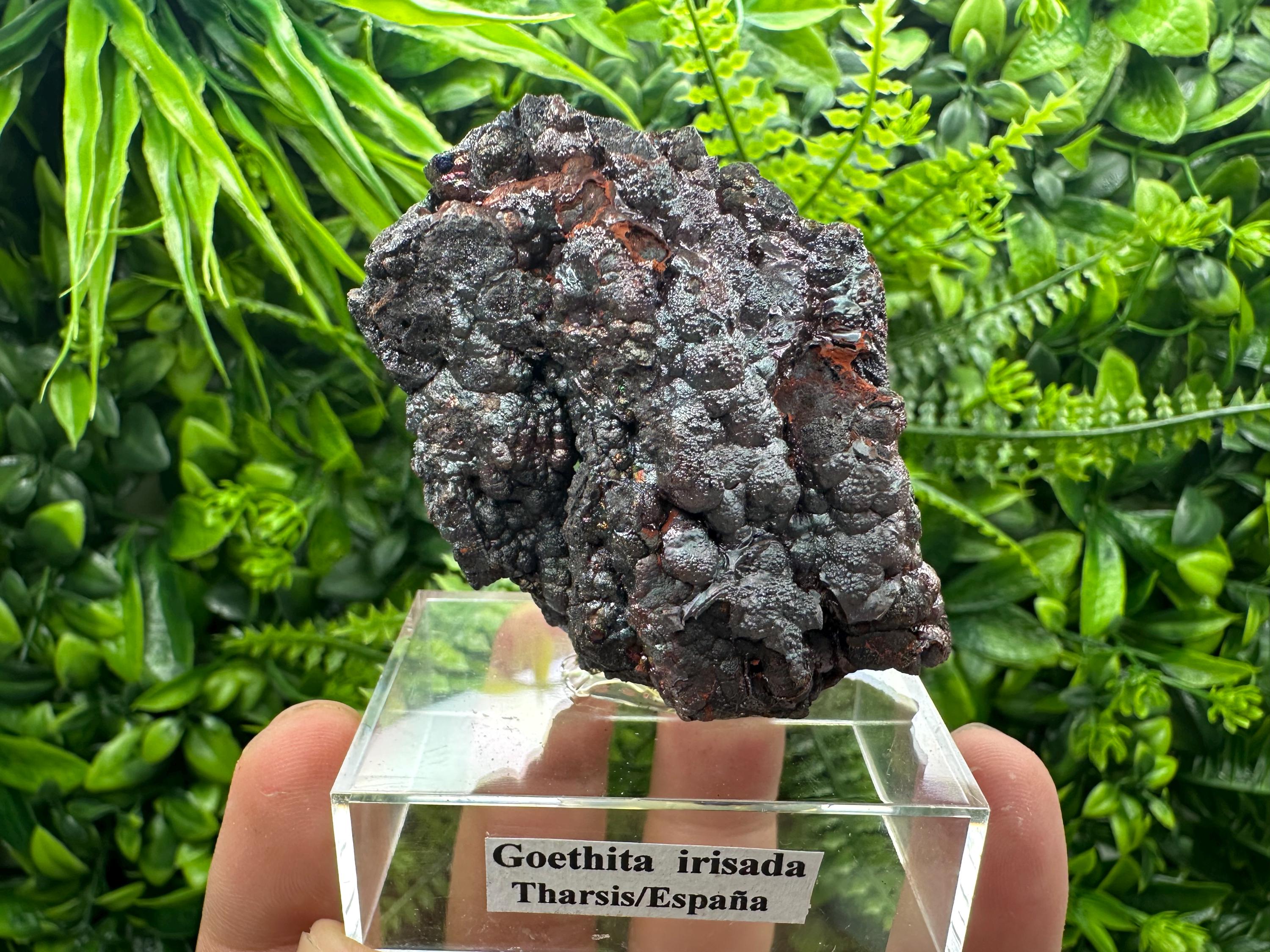 Iridescent Goethite Cluster, Spanish Mineral Specimen