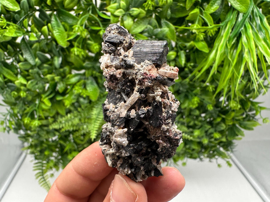 Rare Tourmaline,Rubellite from Vitosha Mountain,Bulgaria,Large Black Tourmaline,Rubellite,mineral specimen,collection,collections Tourmaline