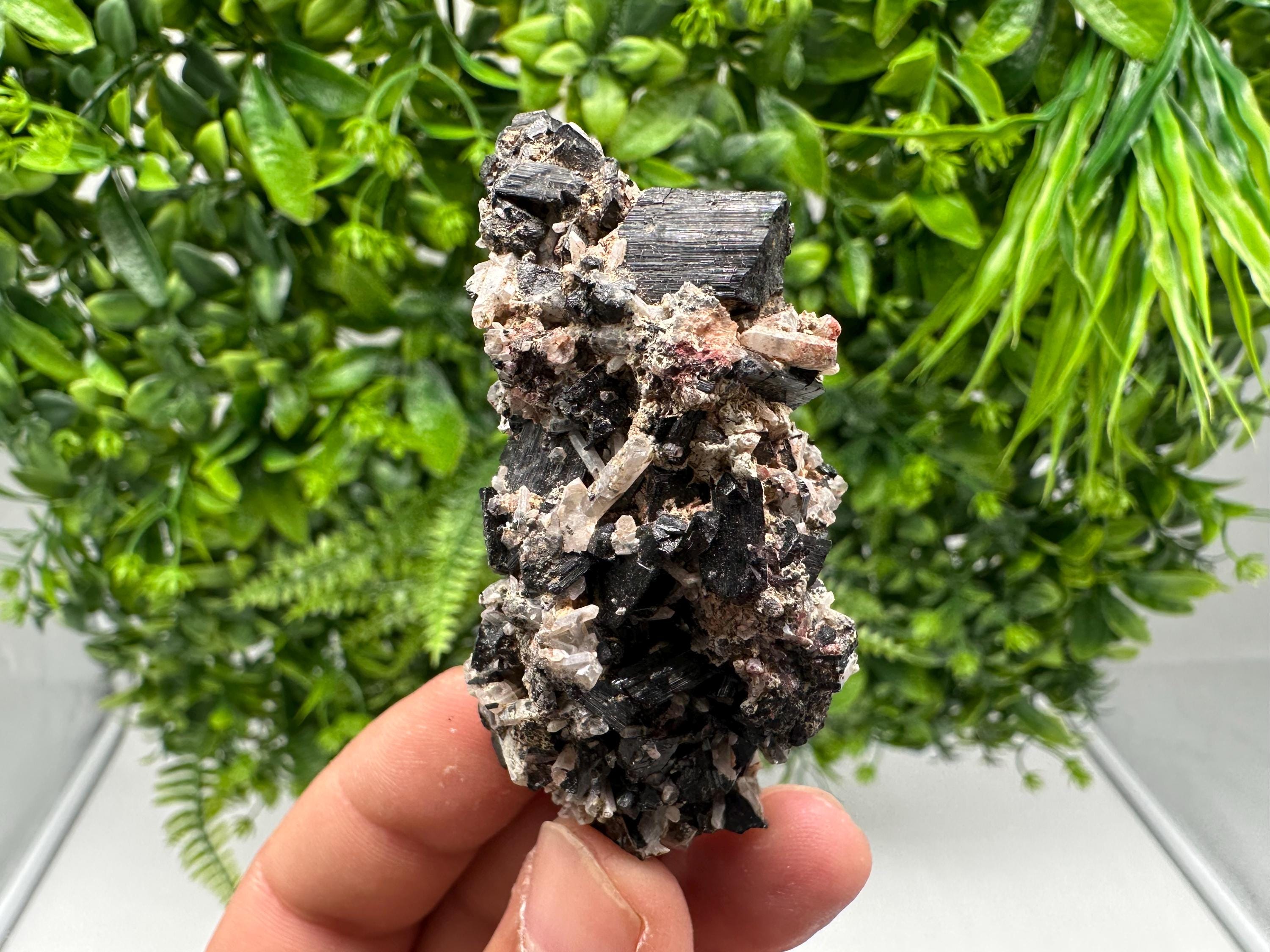 Rare Tourmaline,Rubellite from Vitosha Mountain,Bulgaria,Large Black Tourmaline,Rubellite,mineral specimen,collection,collections Tourmaline