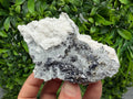 Wonderful Sphalerite Chalcopyrite on Green Quartz whit Hematite feom 9 th September mine,Bulgaria,natural,collection mineral specimen,gift