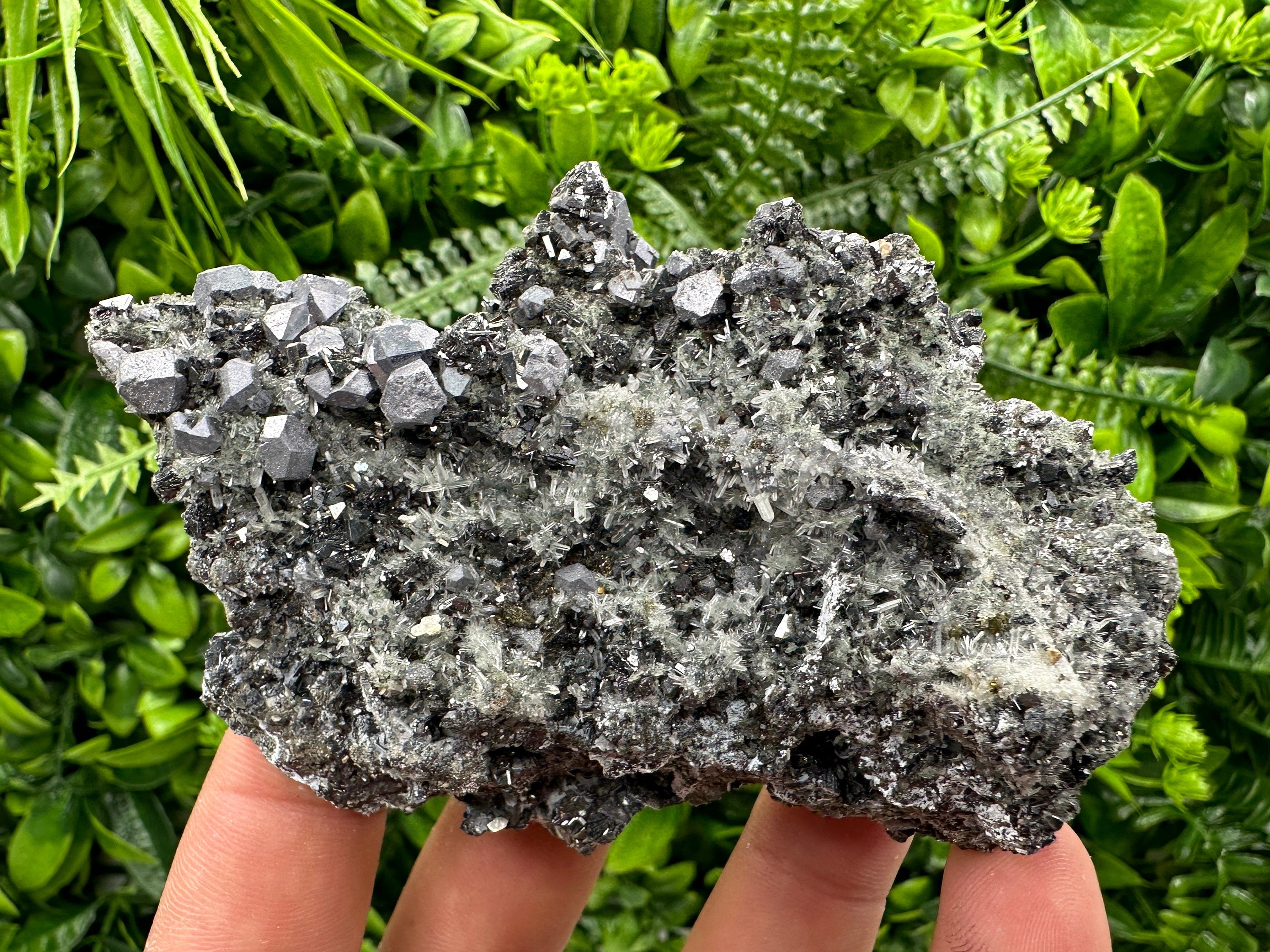 Sphalerite Pyrite on Quartz, Bulgaria Mineral Specimen (10/7/3.5 cm)