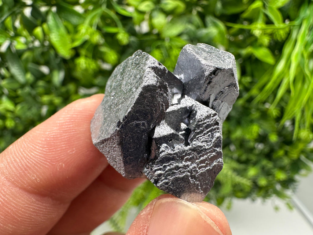 Galena with Sphalerite Specimen, Borieva Mine, Bulgaria
